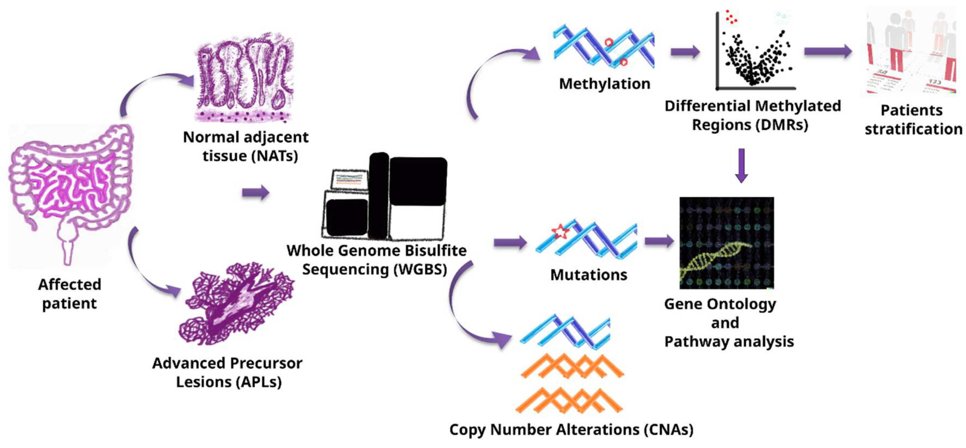Preprints 143397 g001