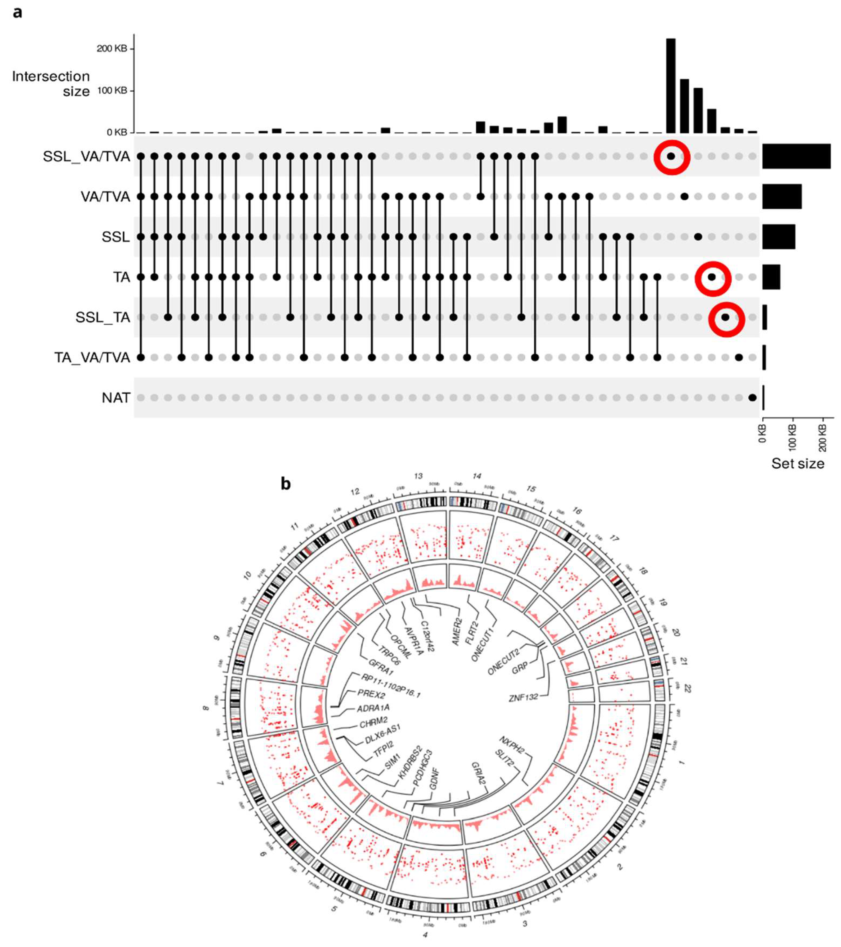 Preprints 143397 g002