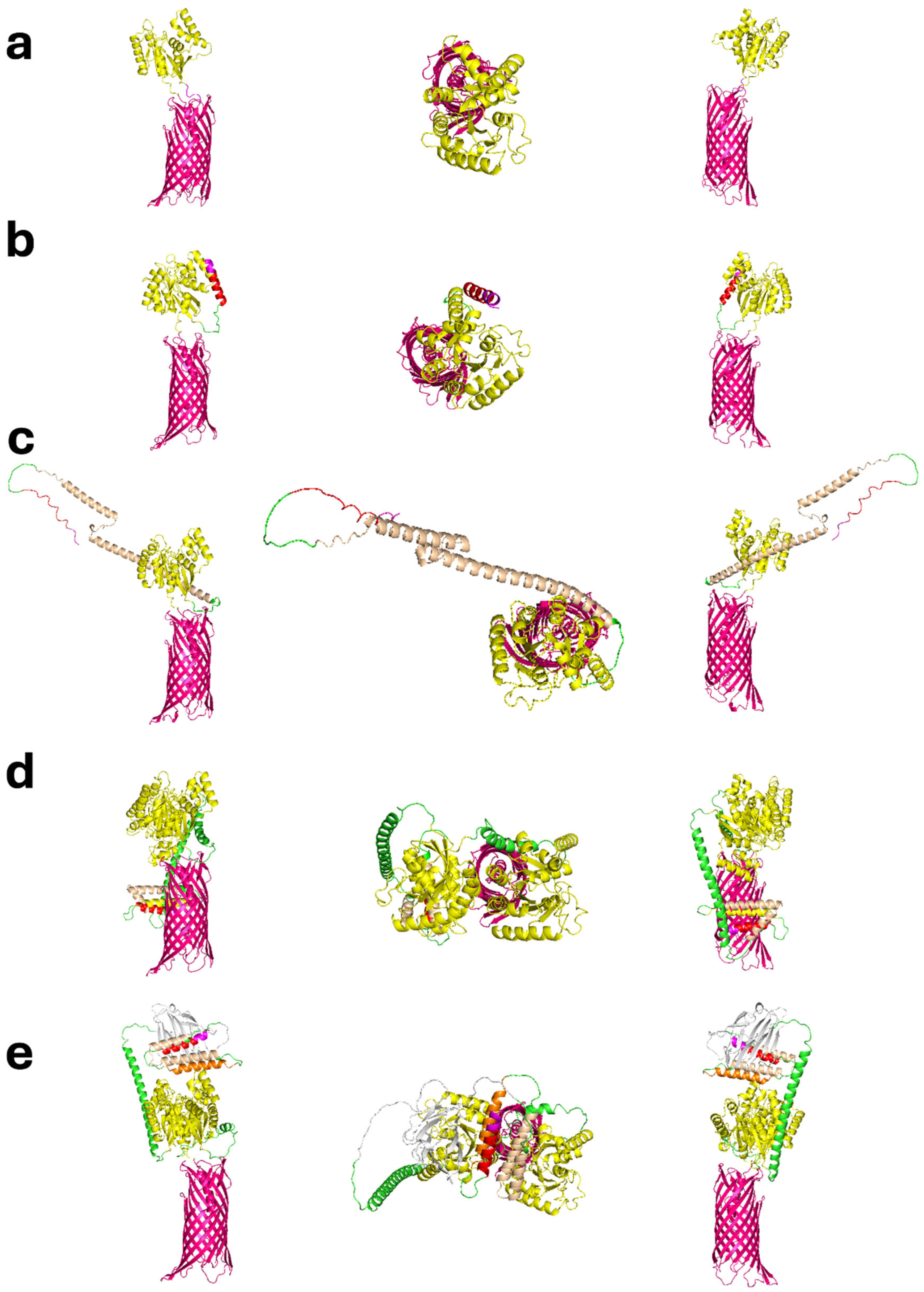 Preprints 194164 g001