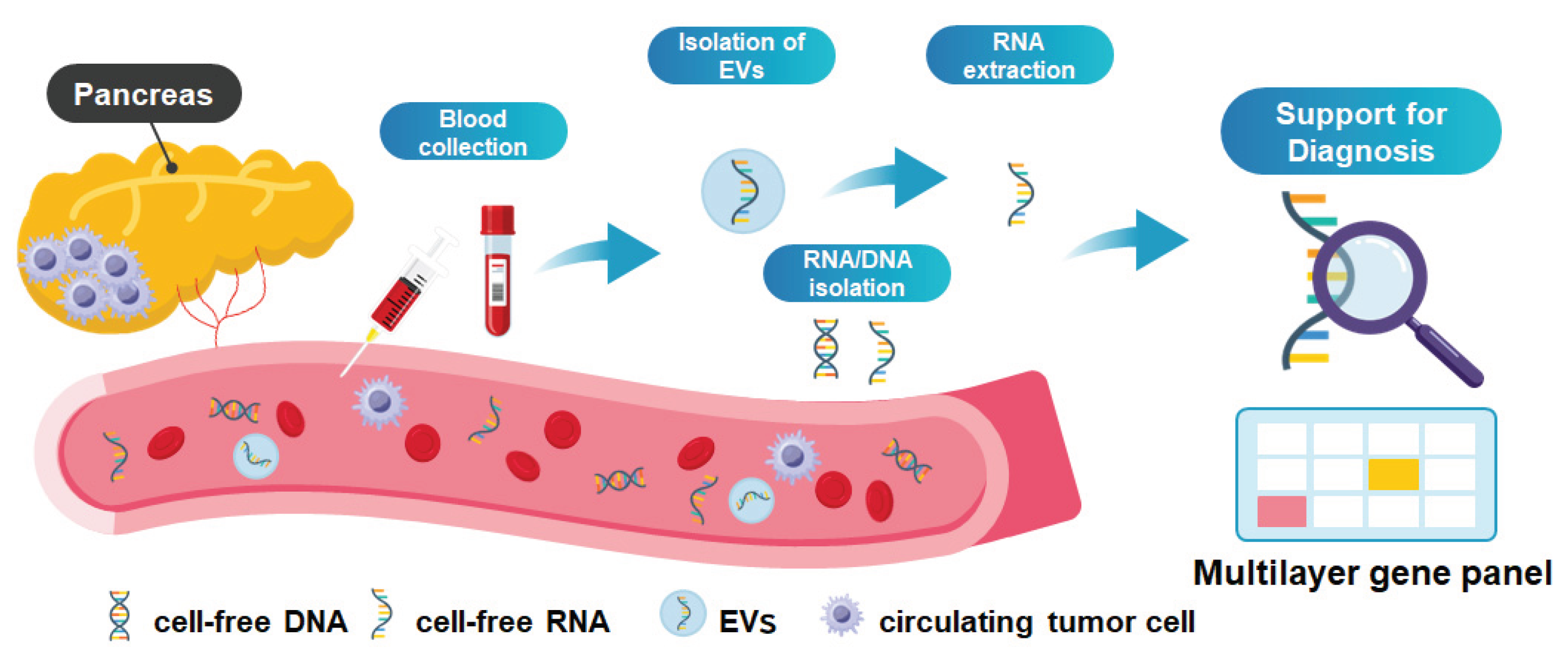 Preprints 192722 g001