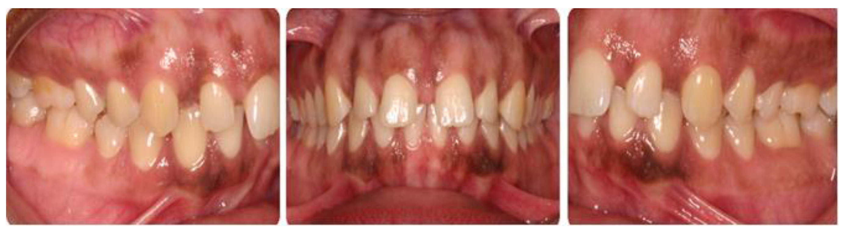 Preprints 67875 g001