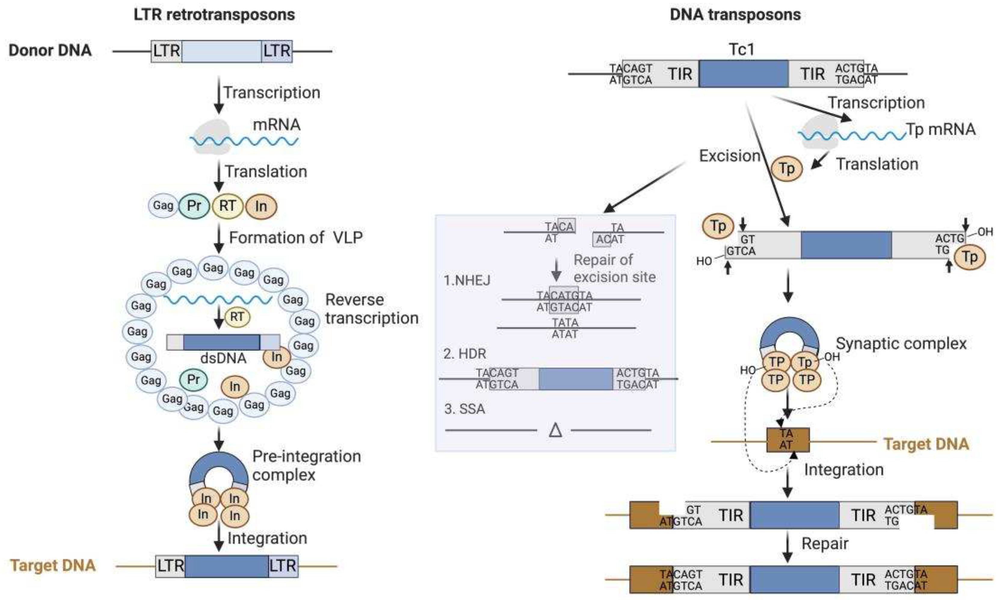 Preprints 98948 g001