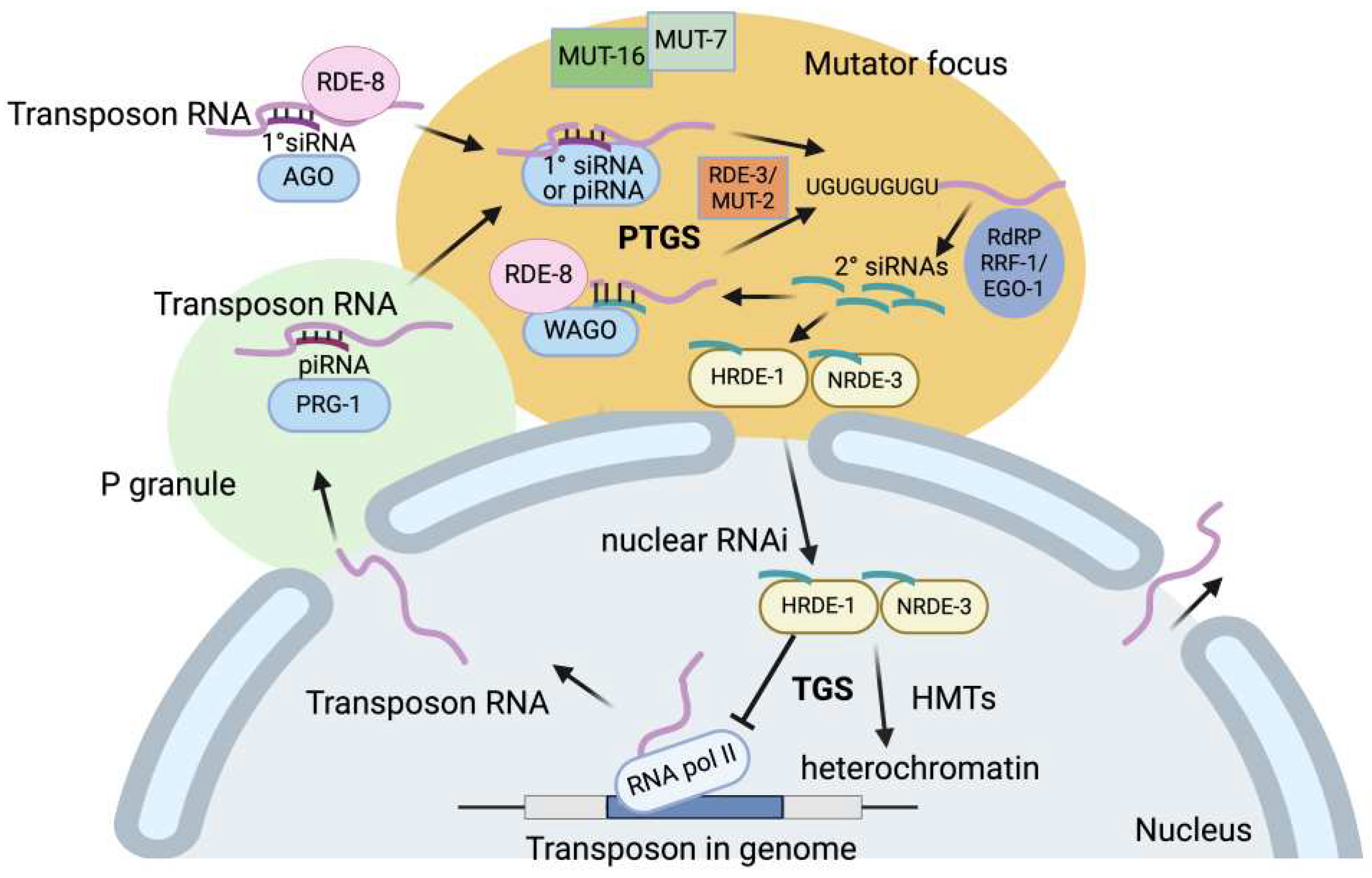 Preprints 98948 g002