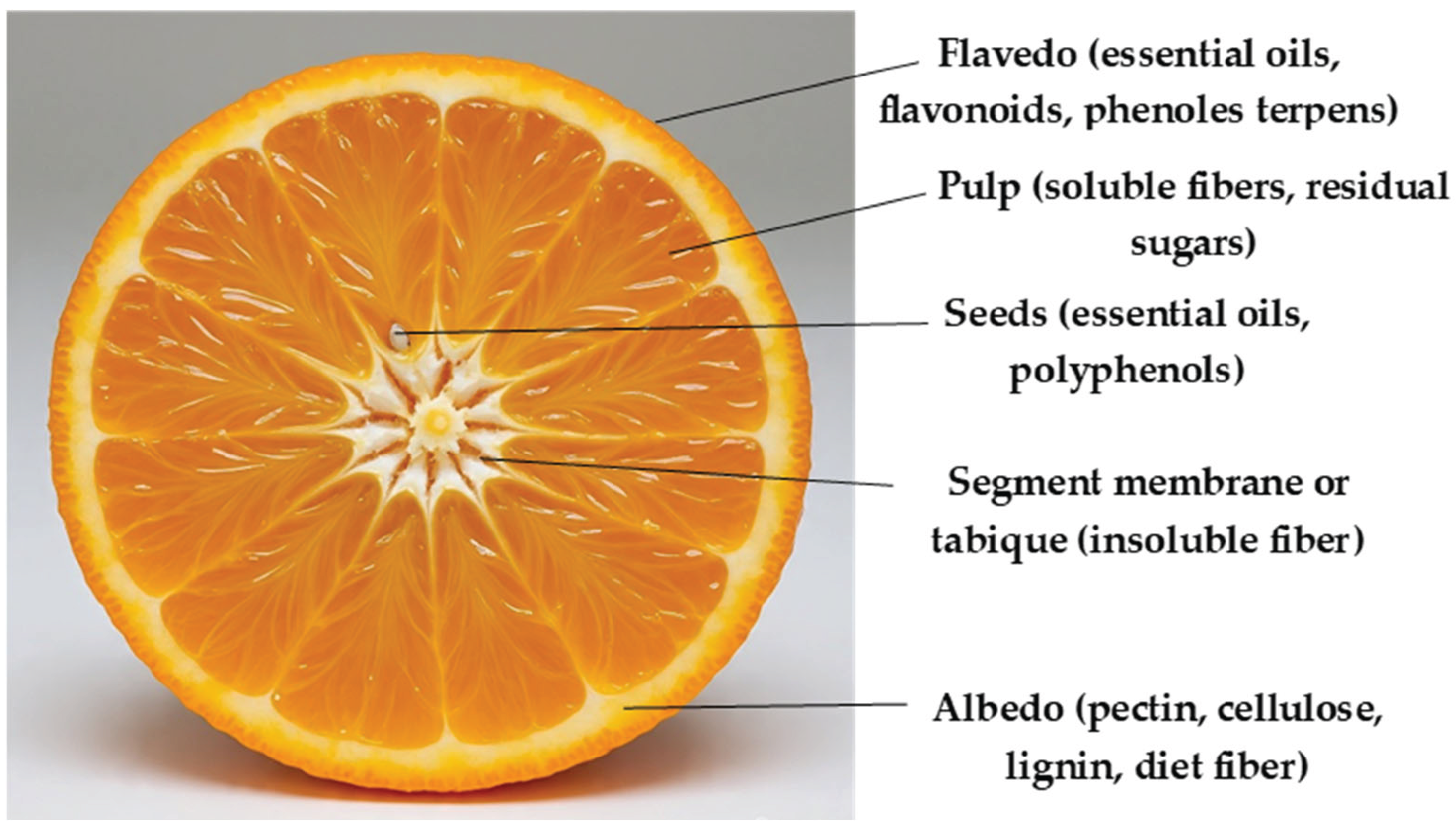 Preprints 179155 g003