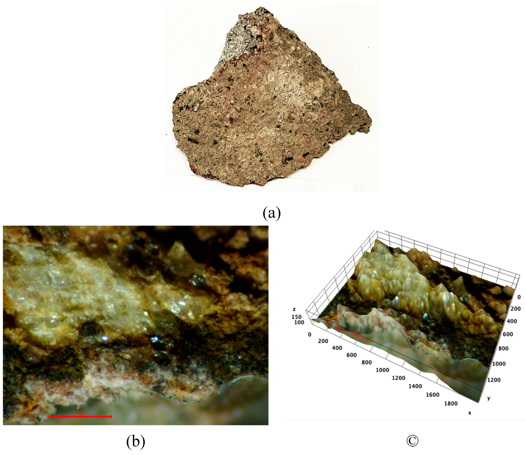 Preprints 121559 g003
