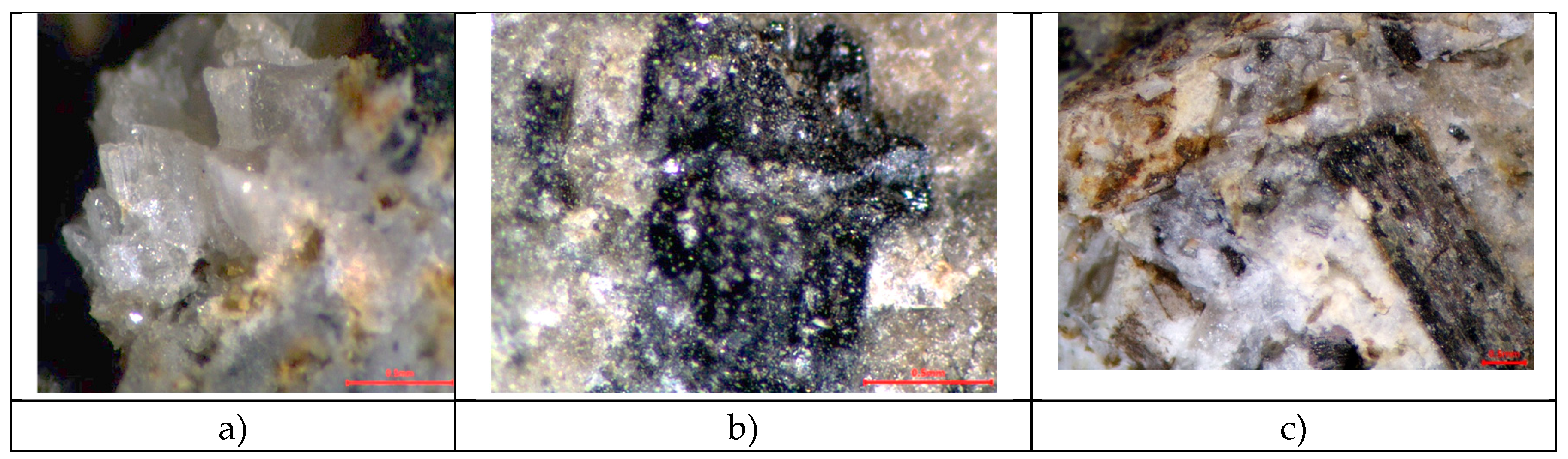 Preprints 121559 g004a