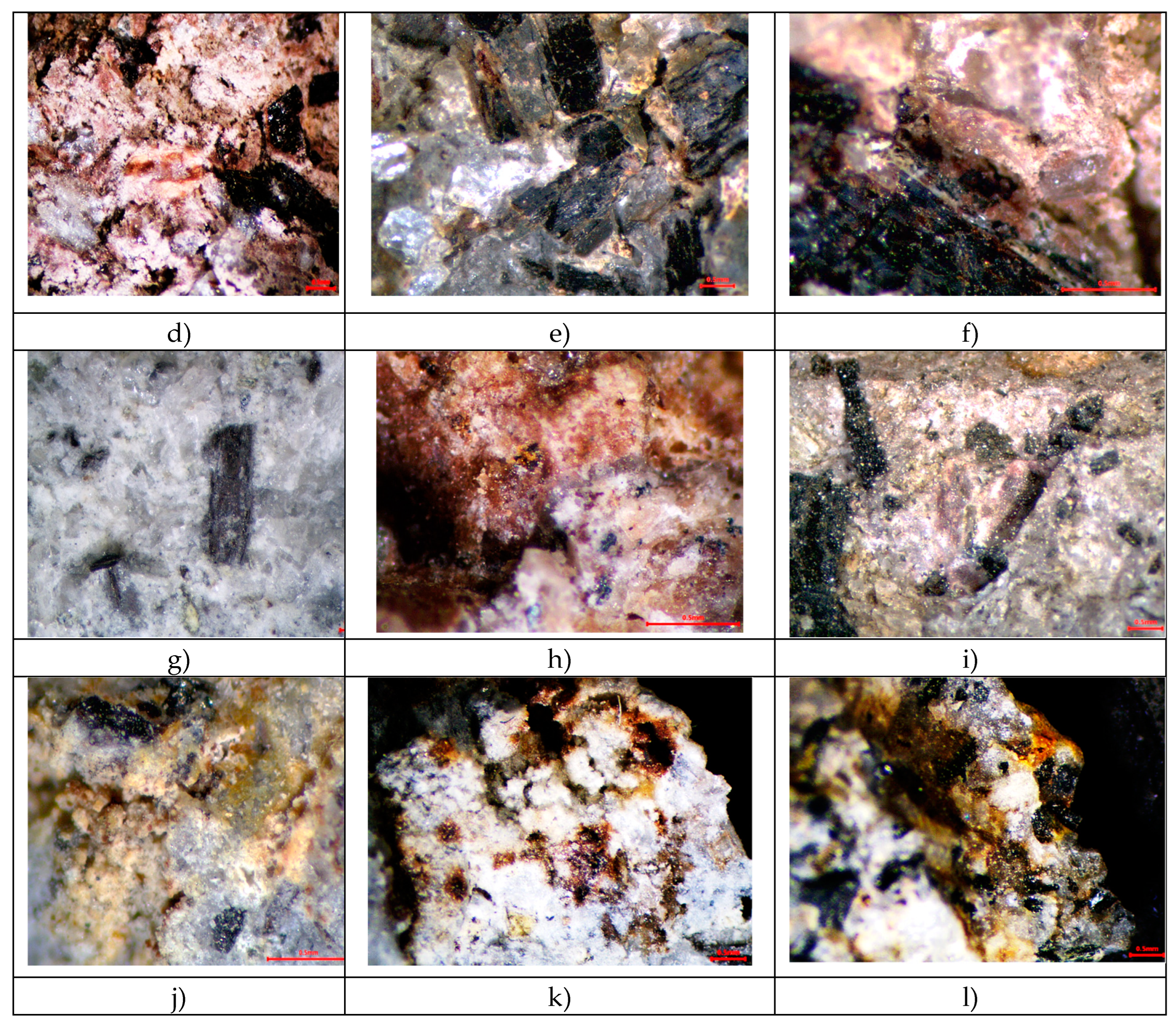 Preprints 121559 g004b
