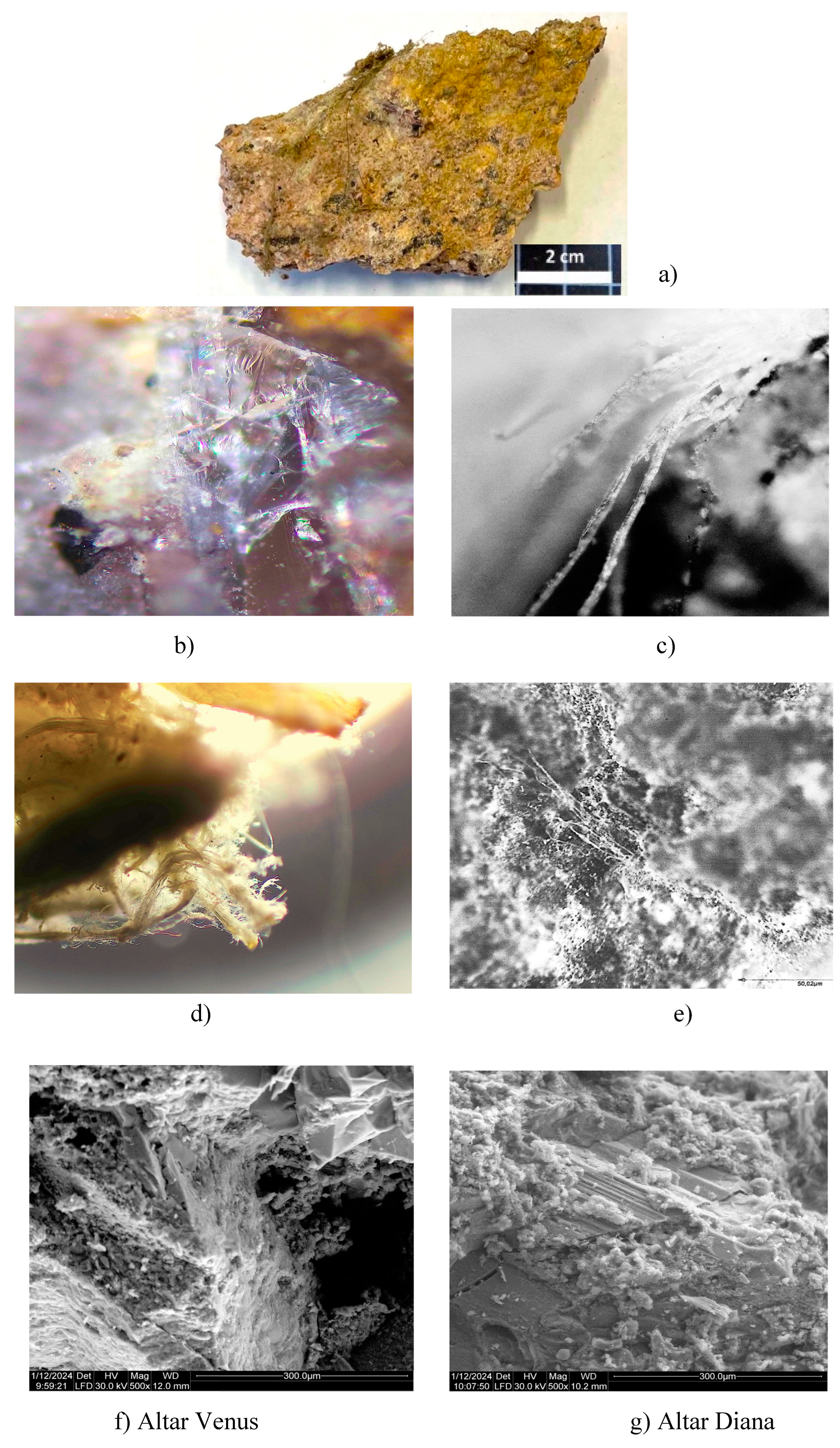 Preprints 121559 g005