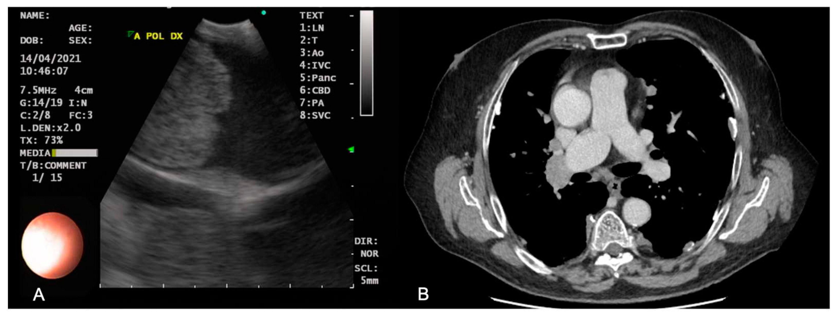 Preprints 74727 g001