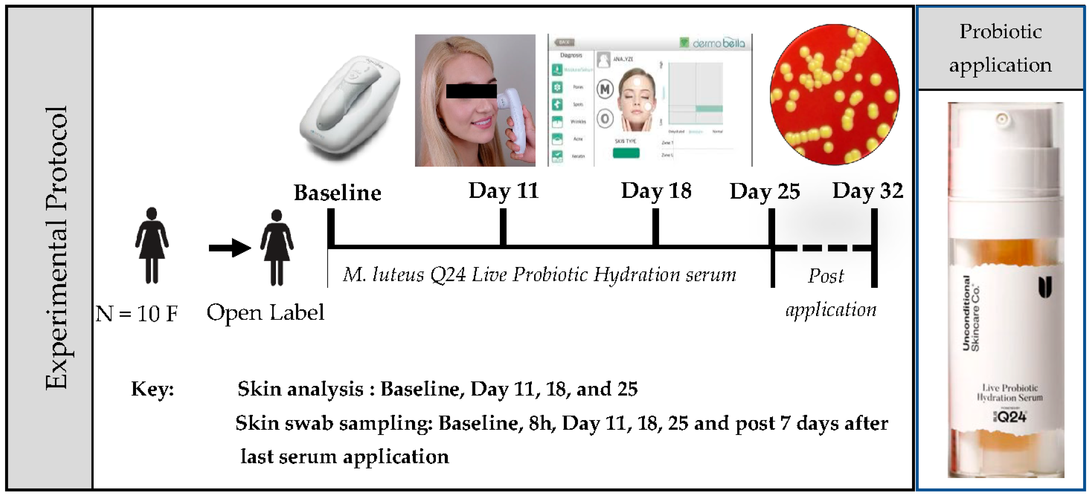 Preprints 109275 g001