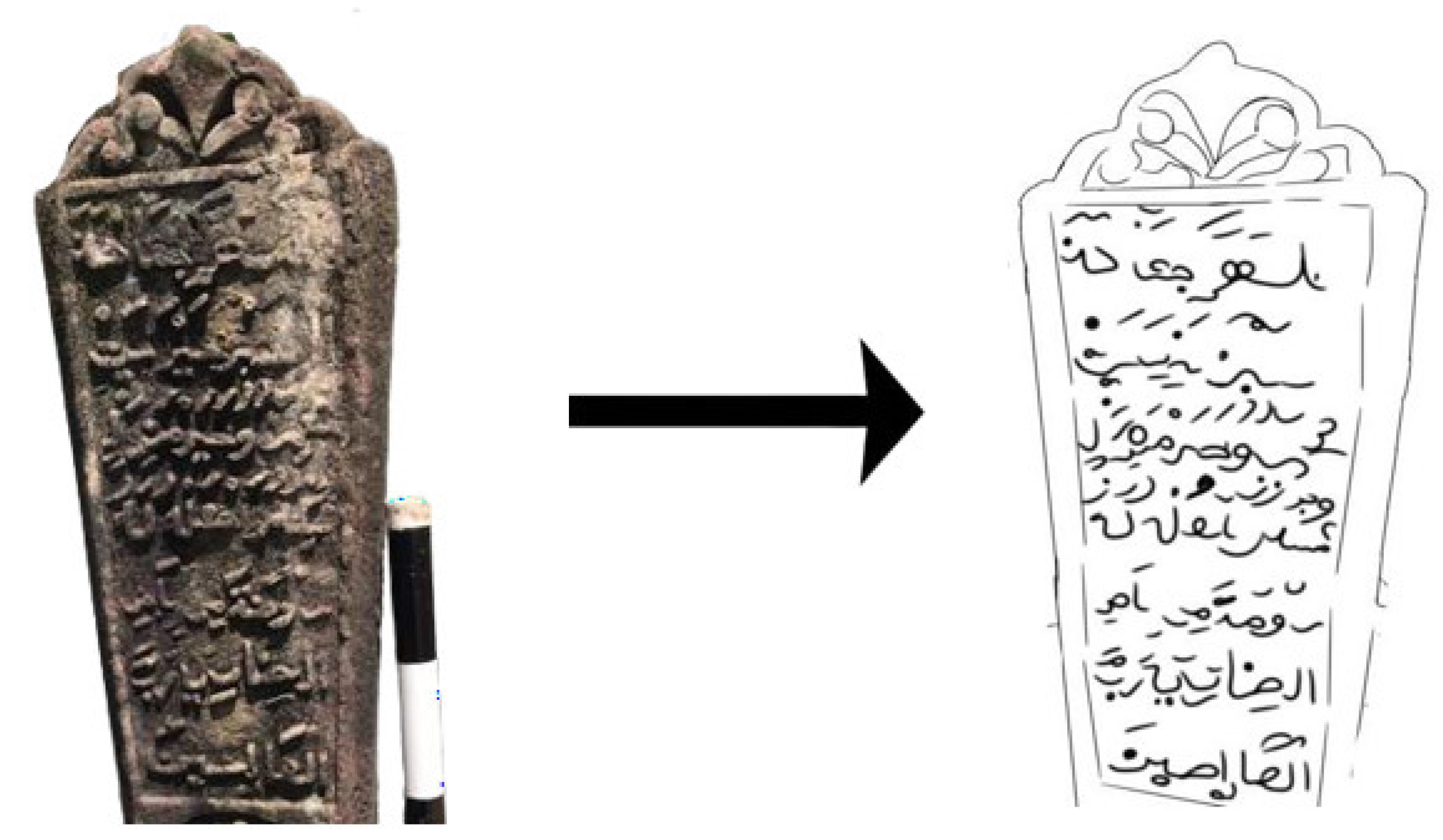 Preprints 174977 g010