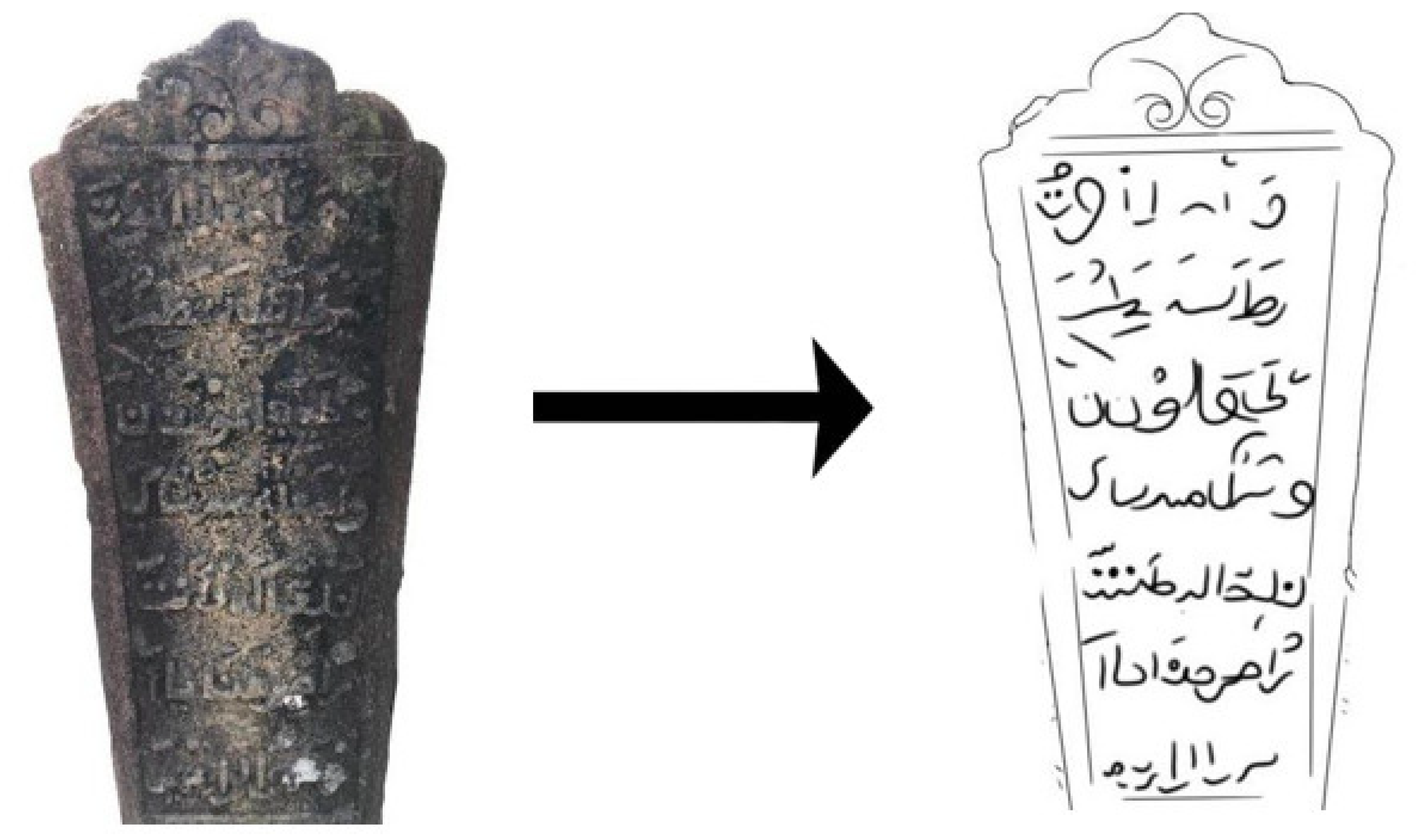 Preprints 174977 g012