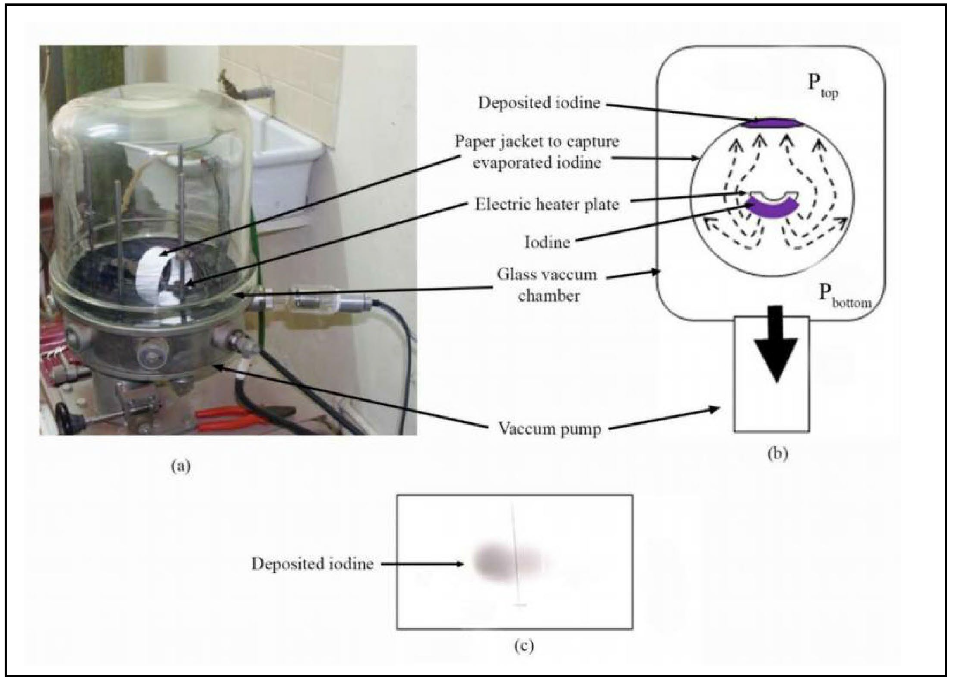 Preprints 70051 g001