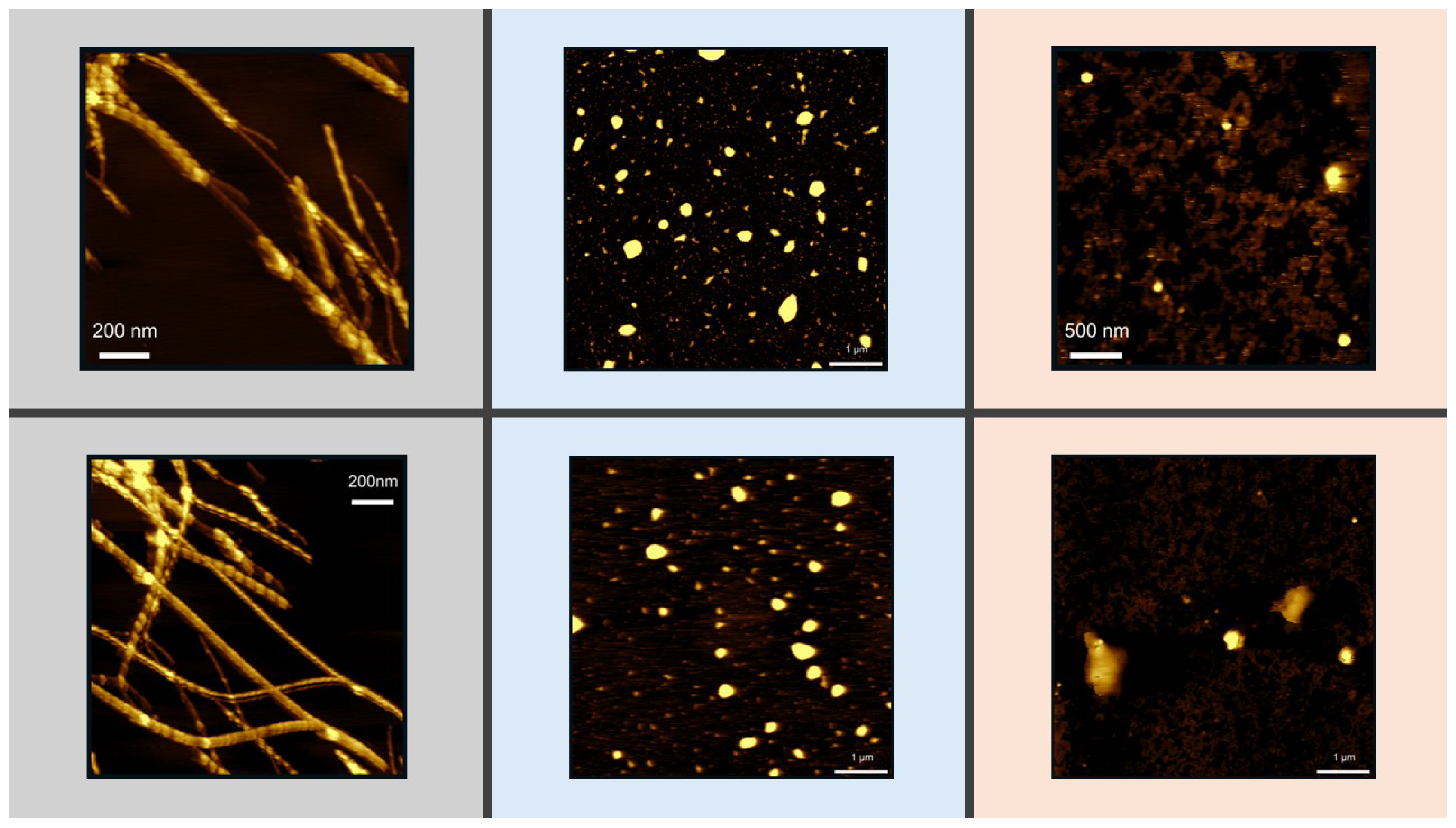Preprints 141217 g007