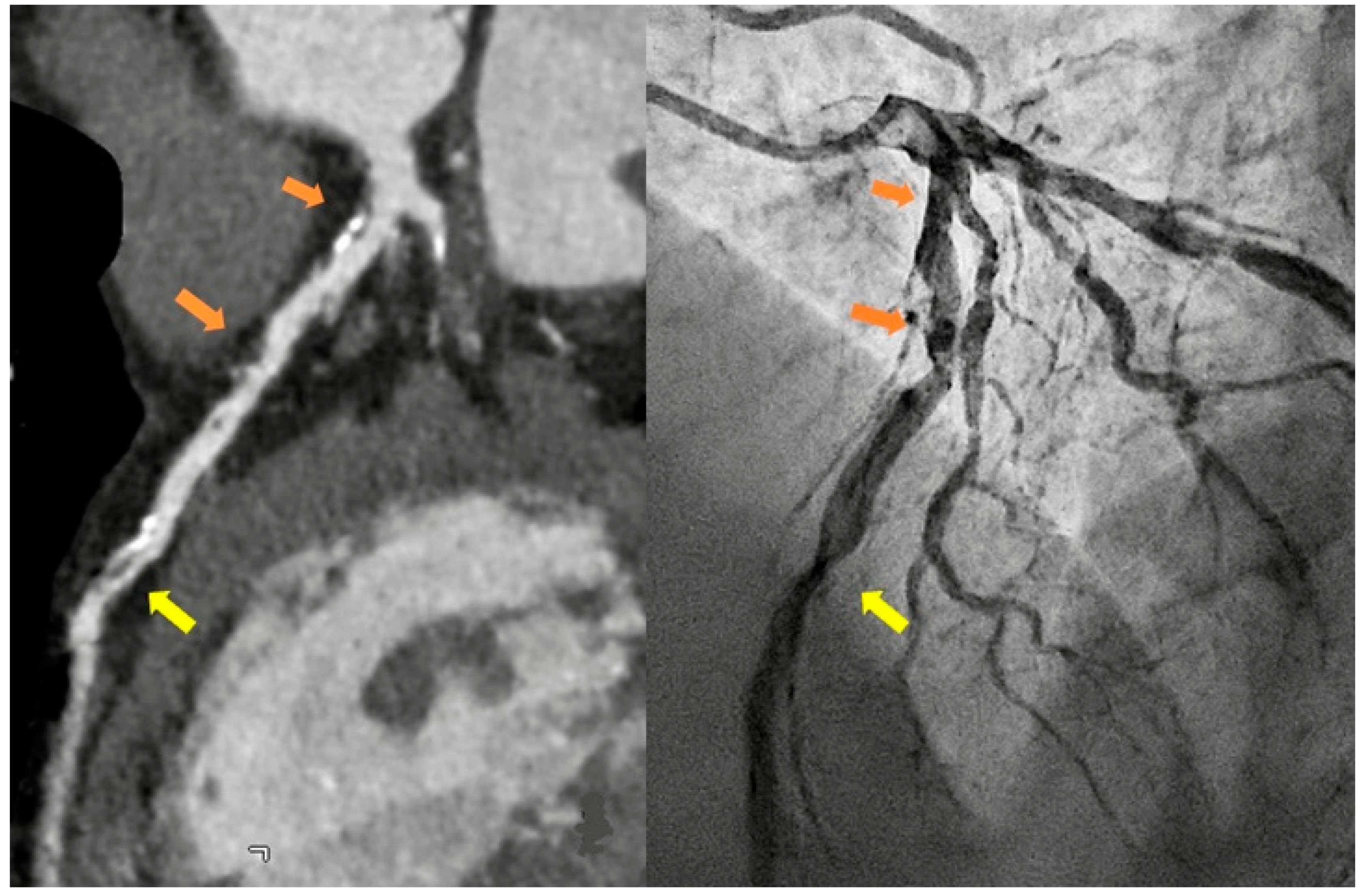 Preprints 76945 g001