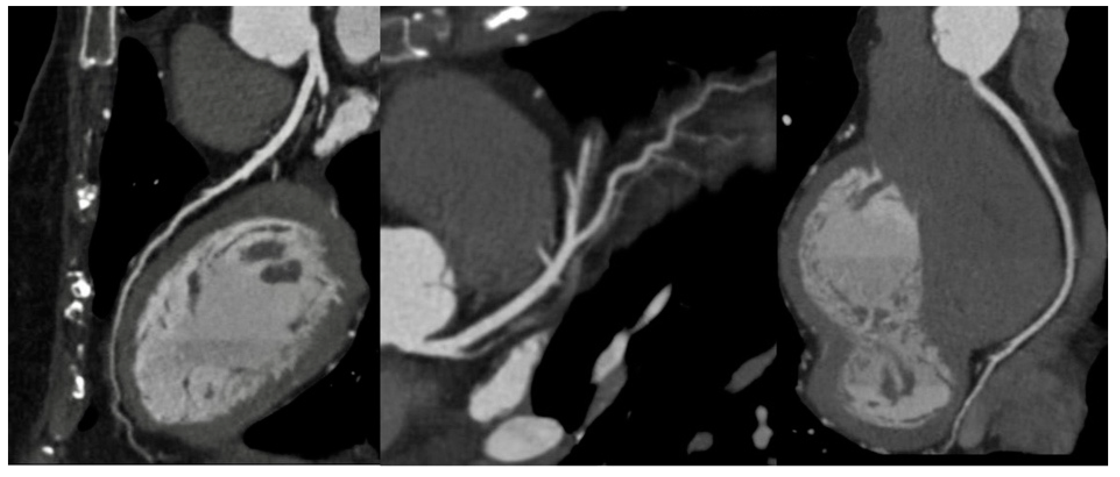 Preprints 76945 g002