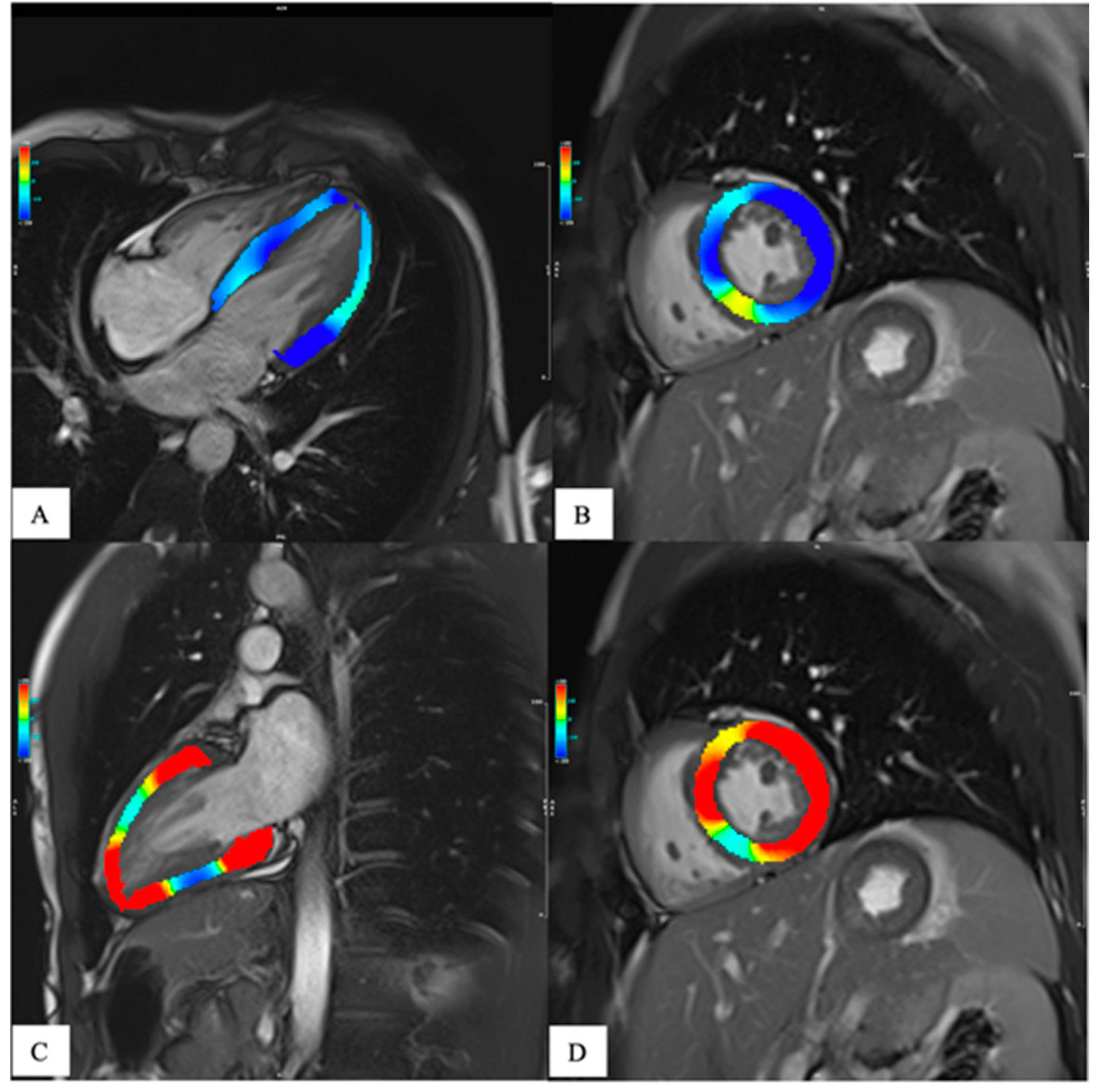 Preprints 76945 g004