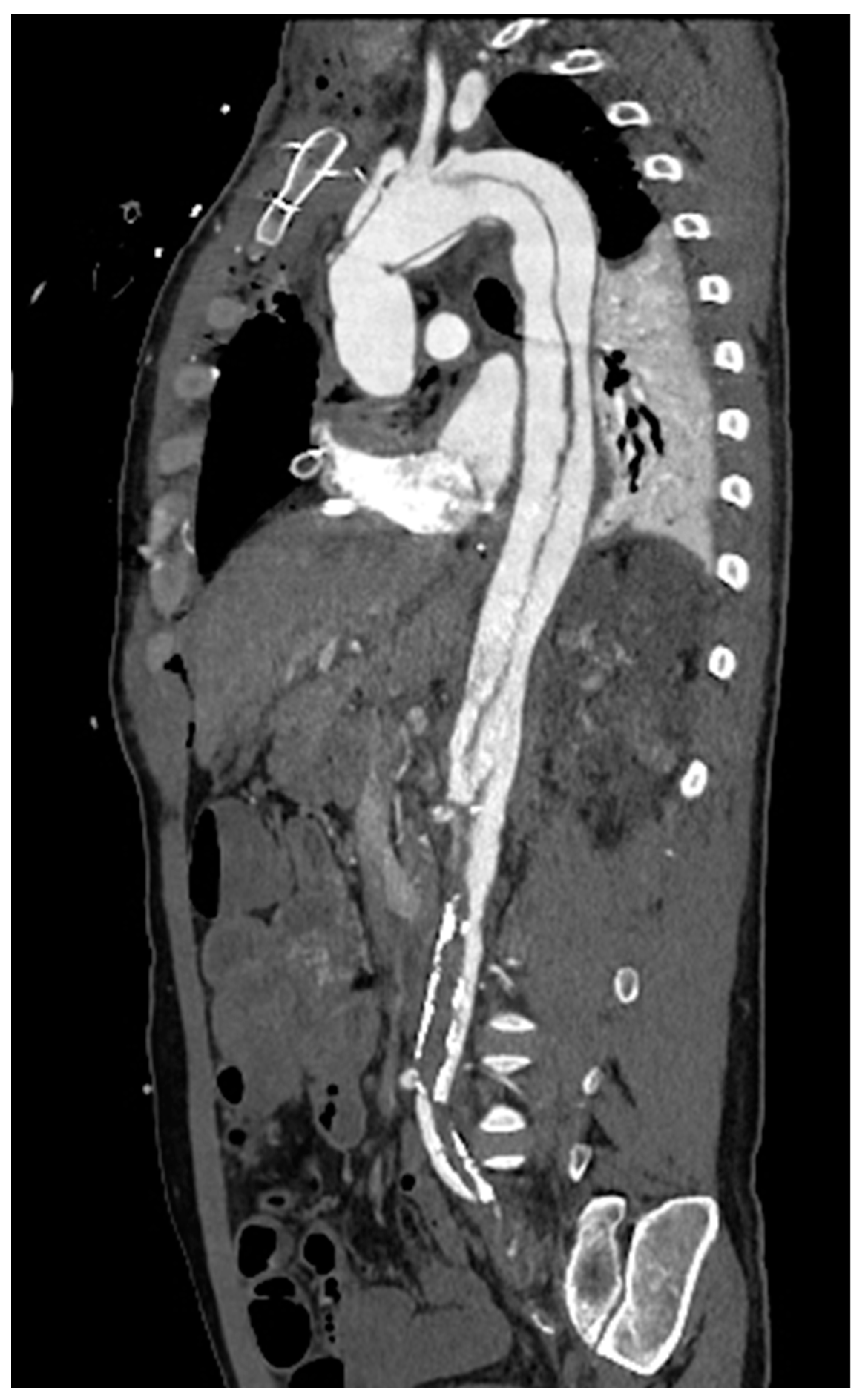 Preprints 76945 g005