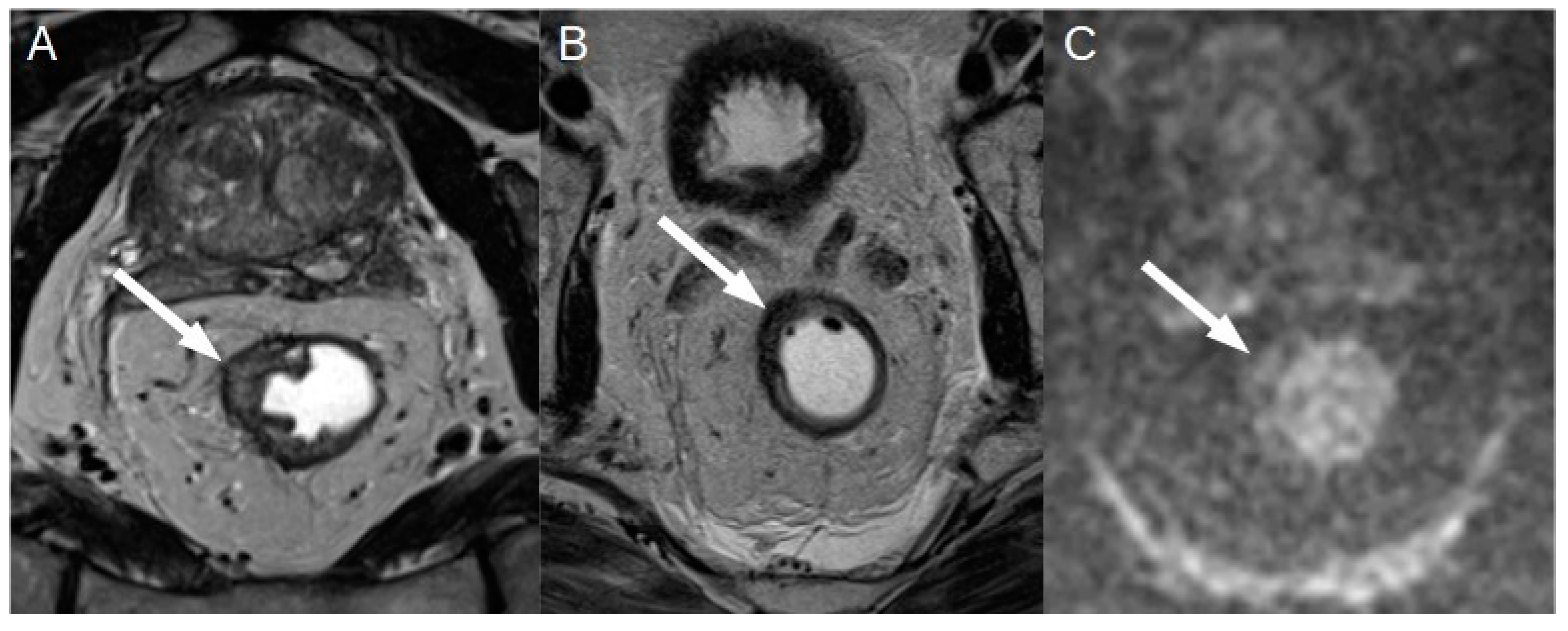 Preprints 76945 g007