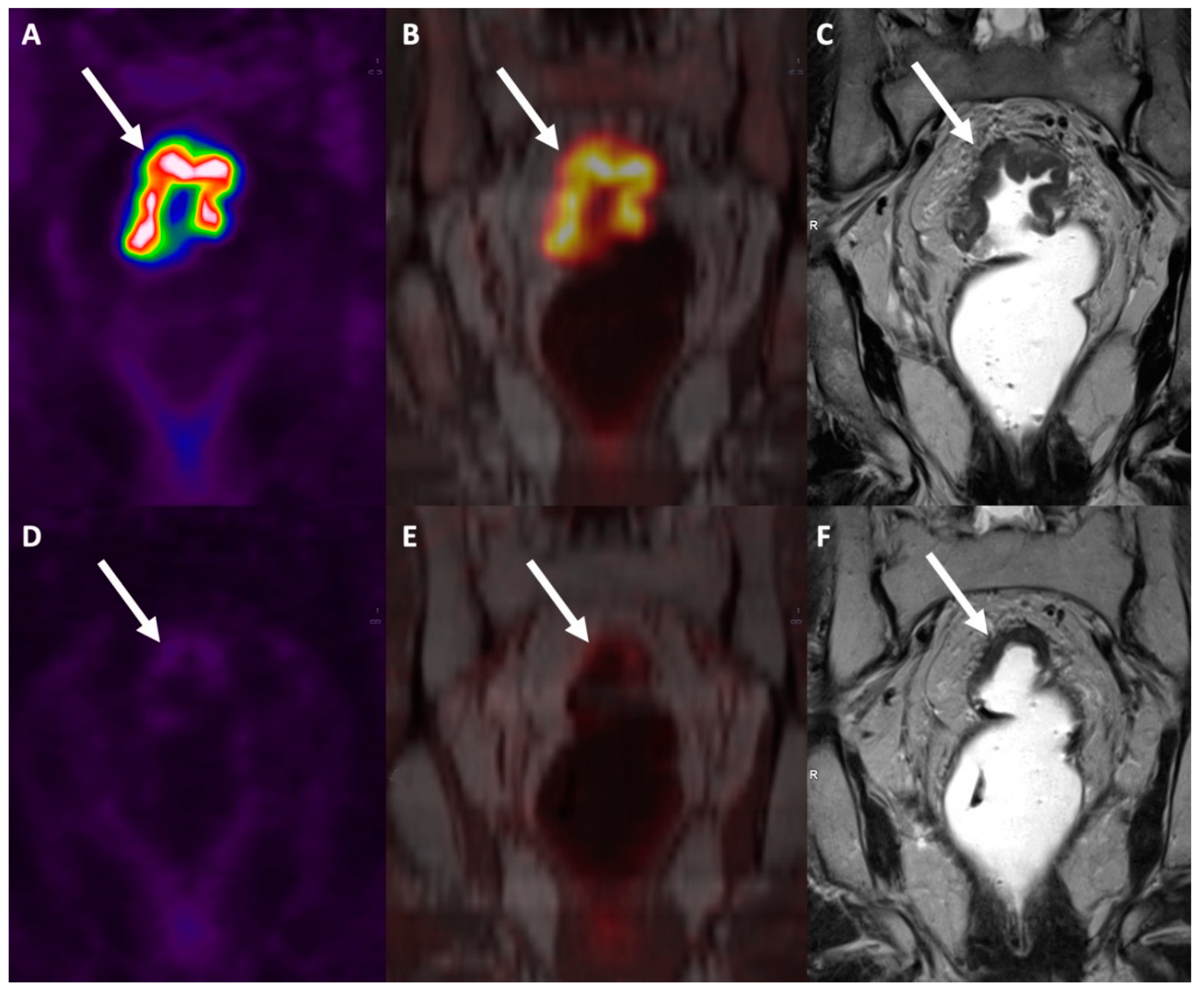Preprints 76945 g008