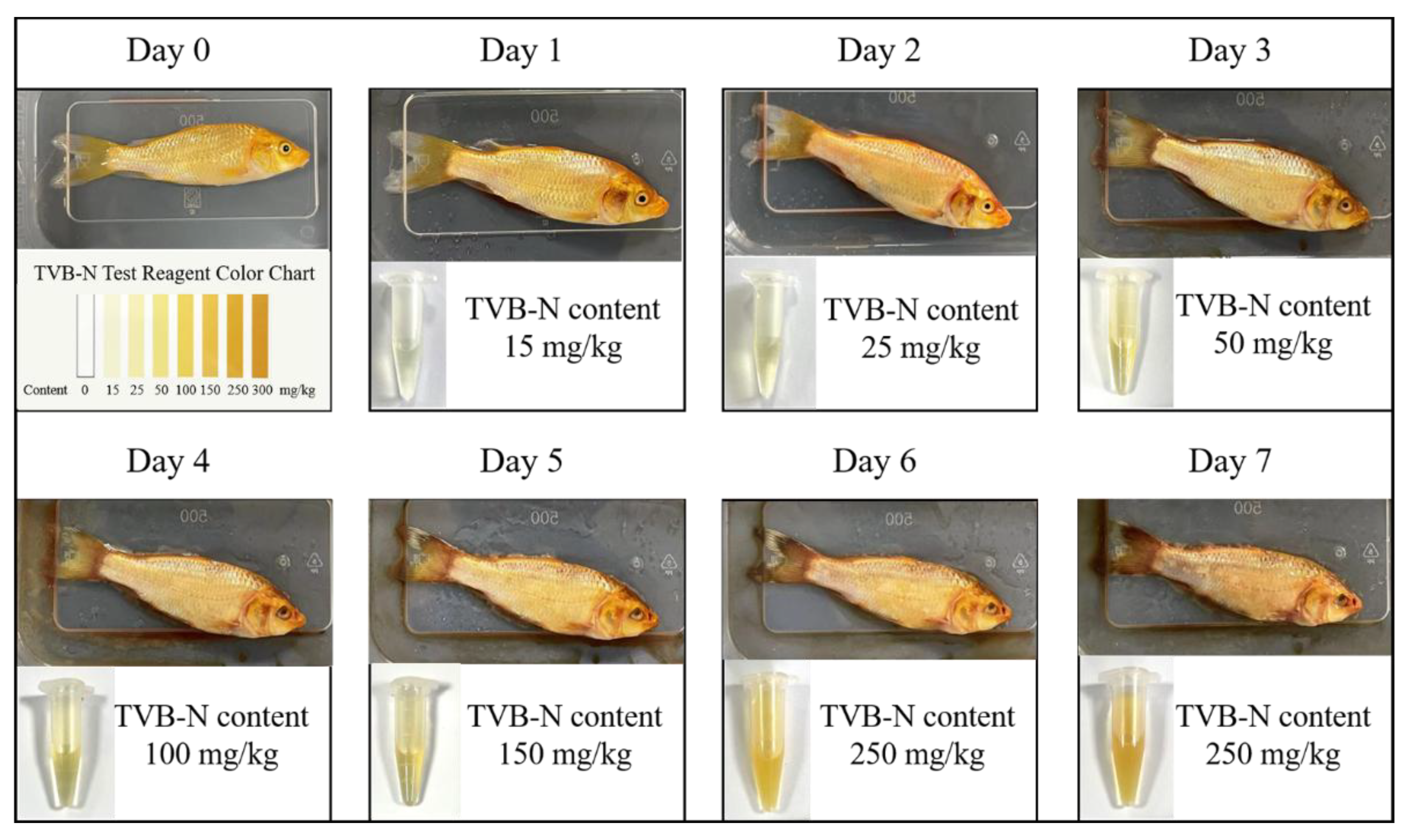 Preprints 177107 g004
