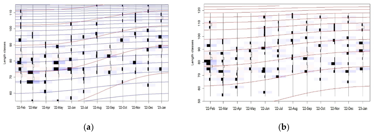 Preprints 231735 g004