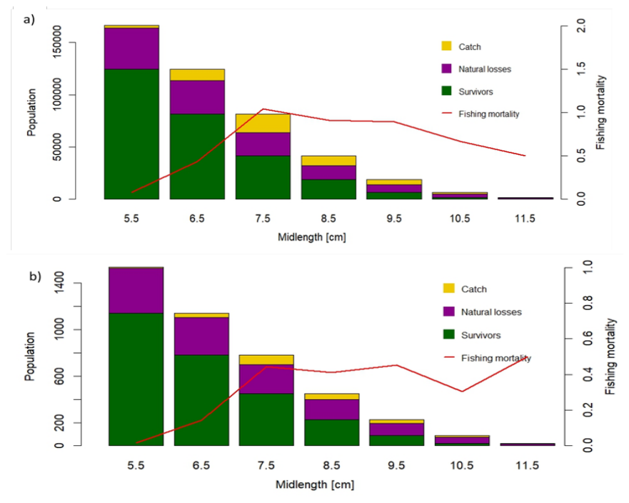 Preprints 231735 g006