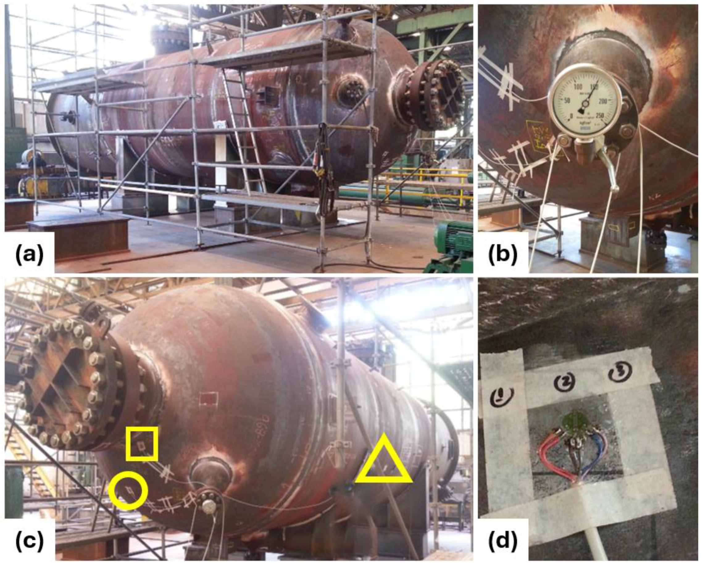 Preprints 156105 g003