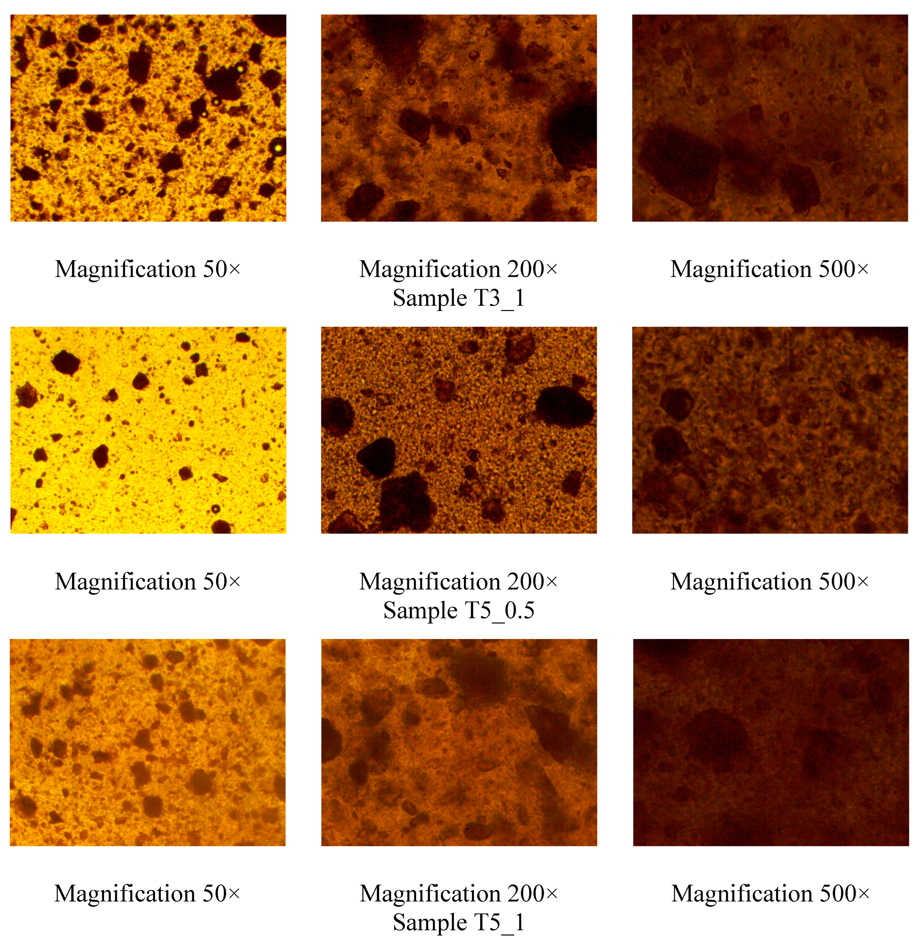 Preprints 154708 g001a