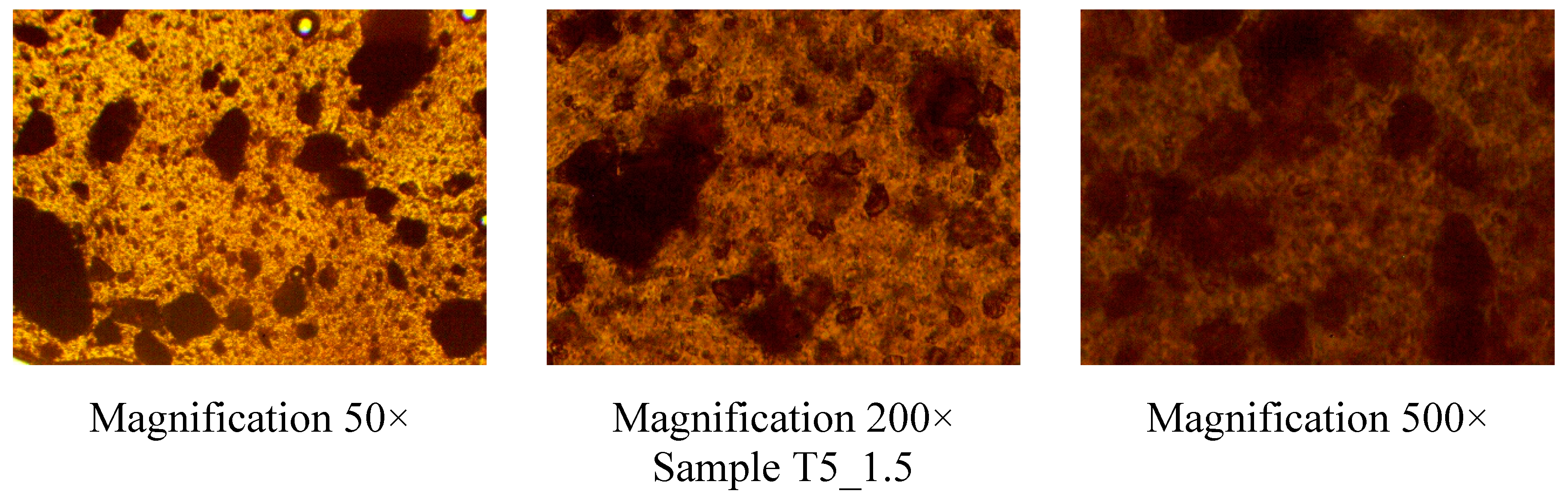 Preprints 154708 g001b