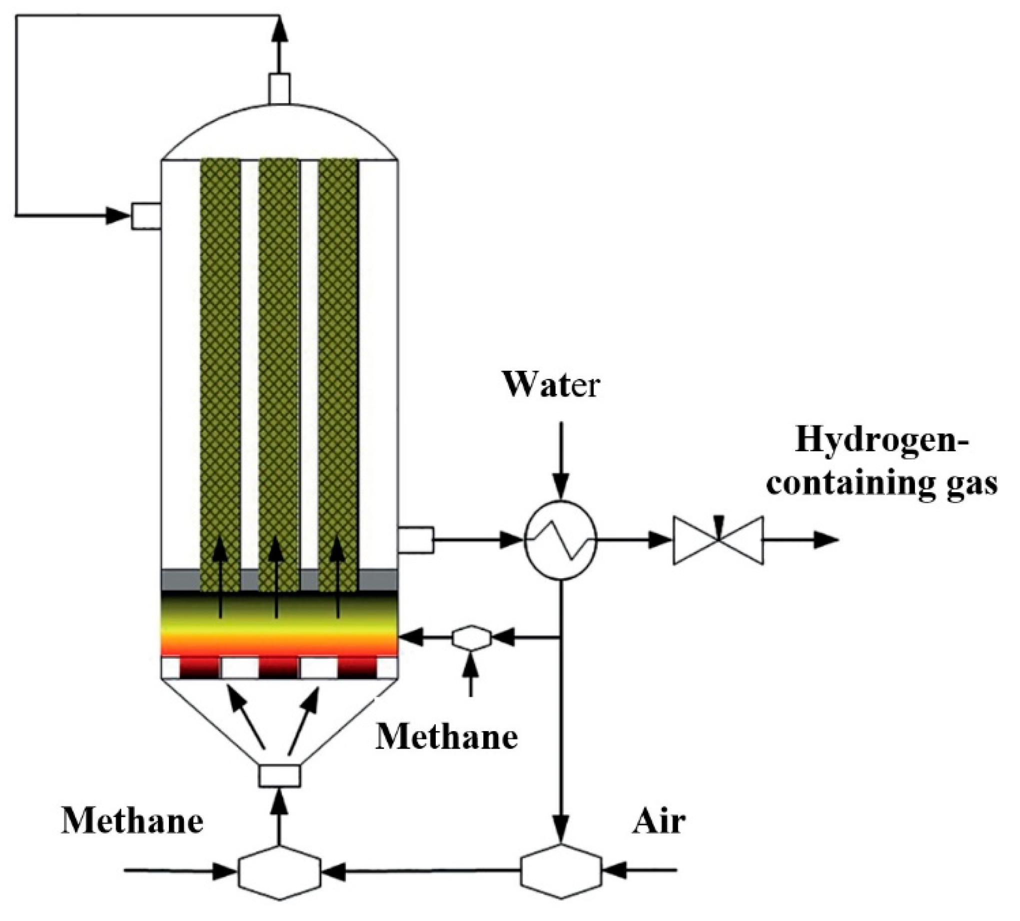 Preprints 146419 g006