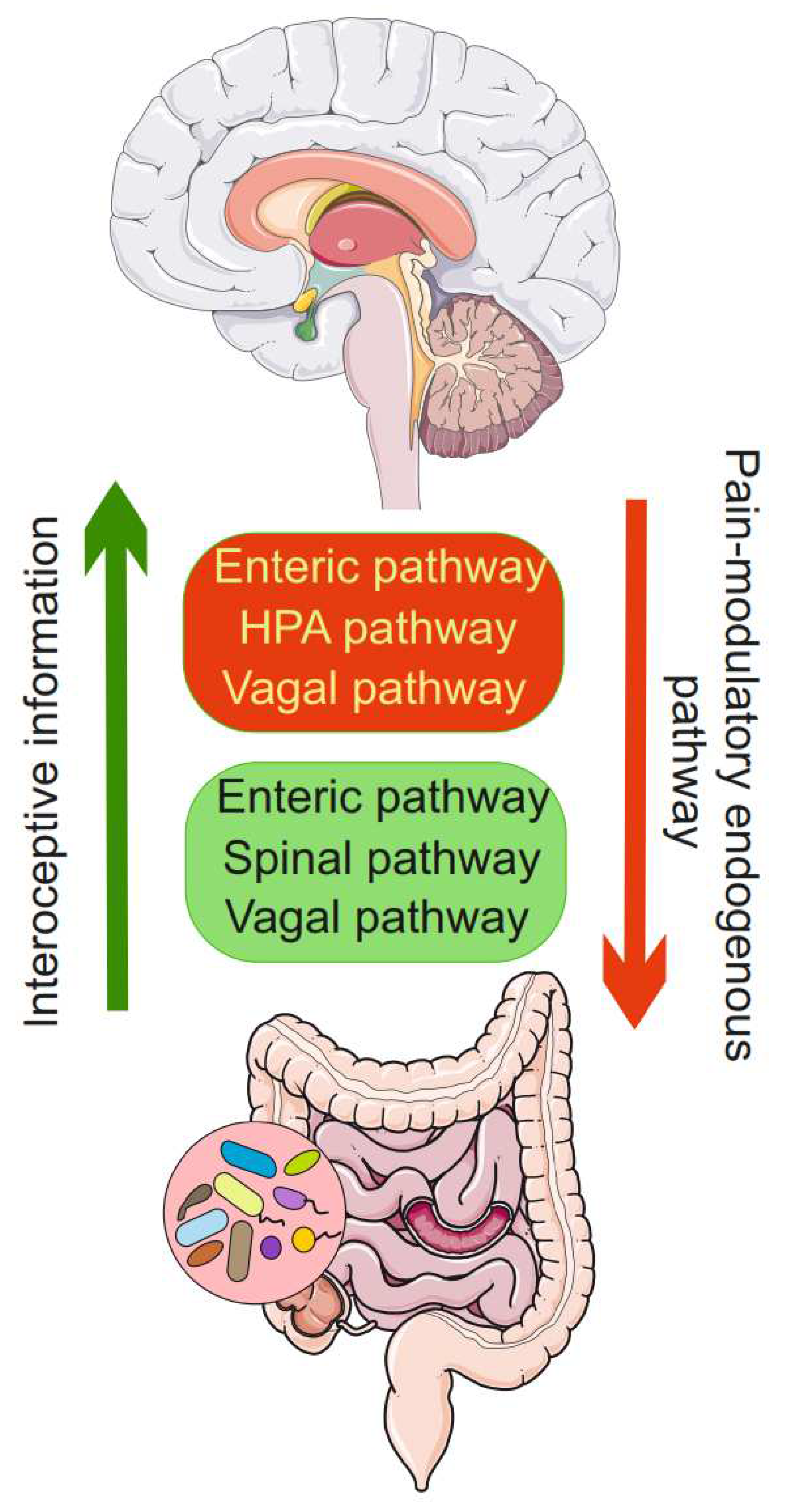 Preprints 81896 g003