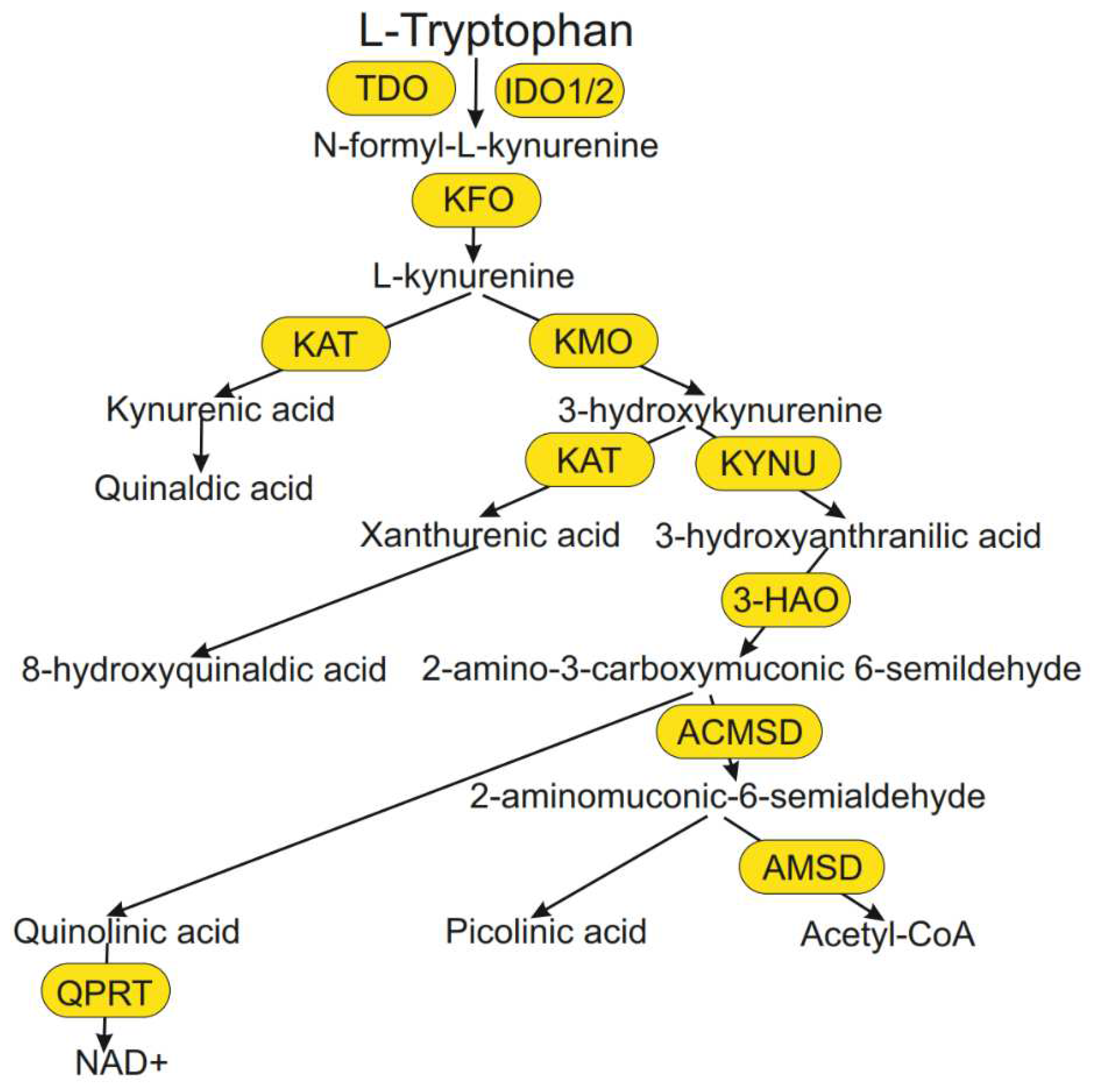 Preprints 81896 g004