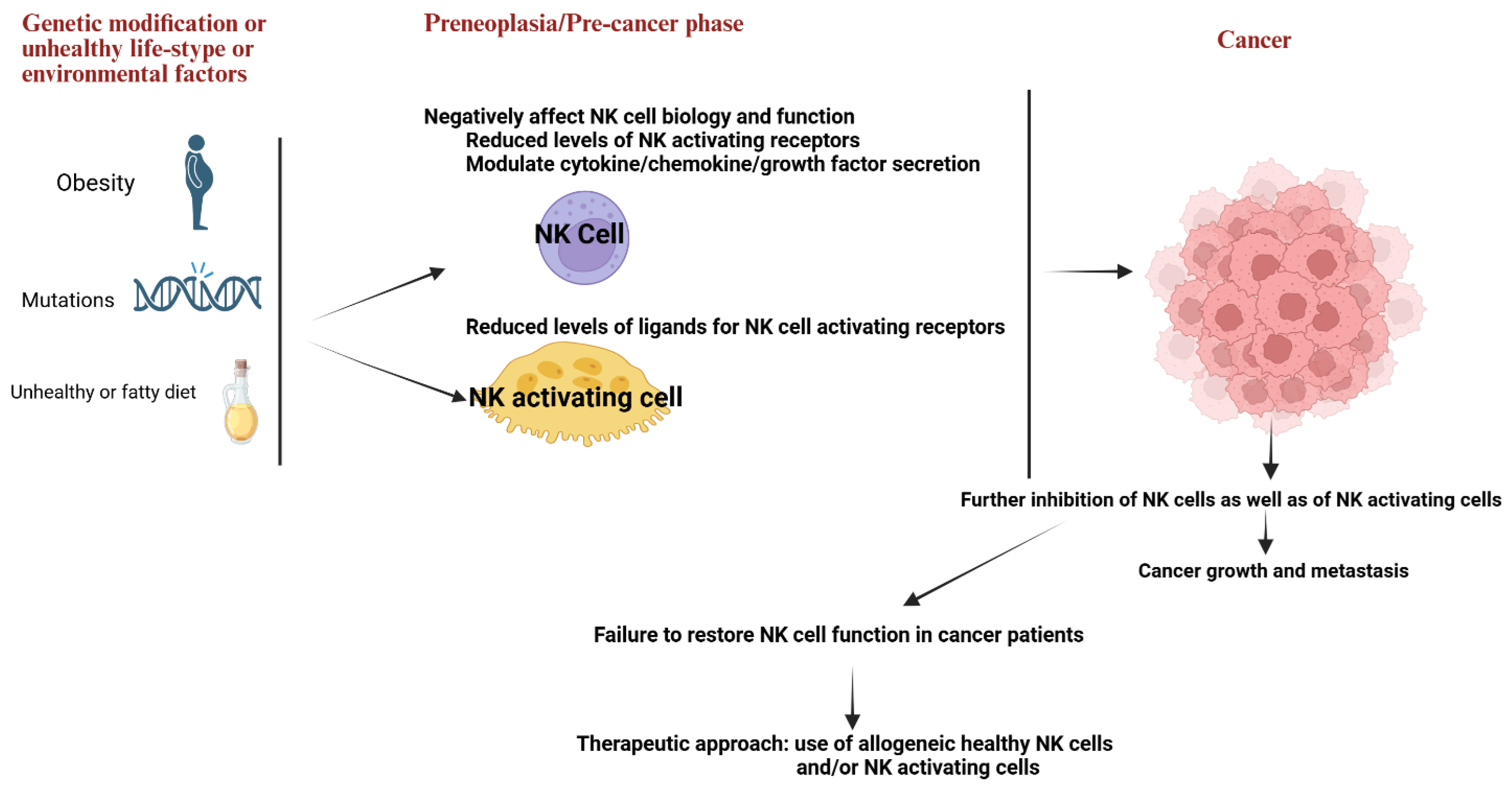 Preprints 171989 g001
