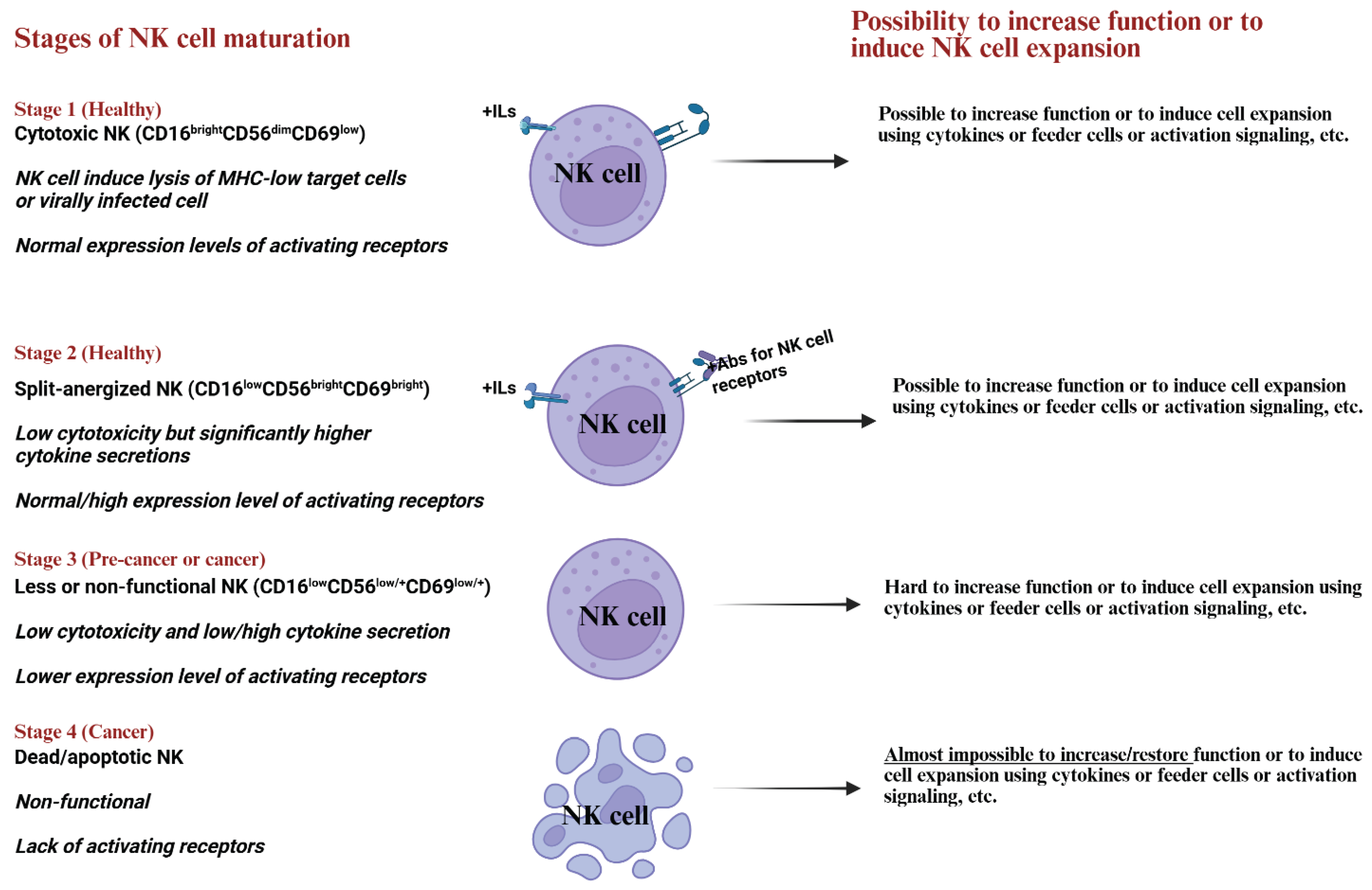 Preprints 171989 g002