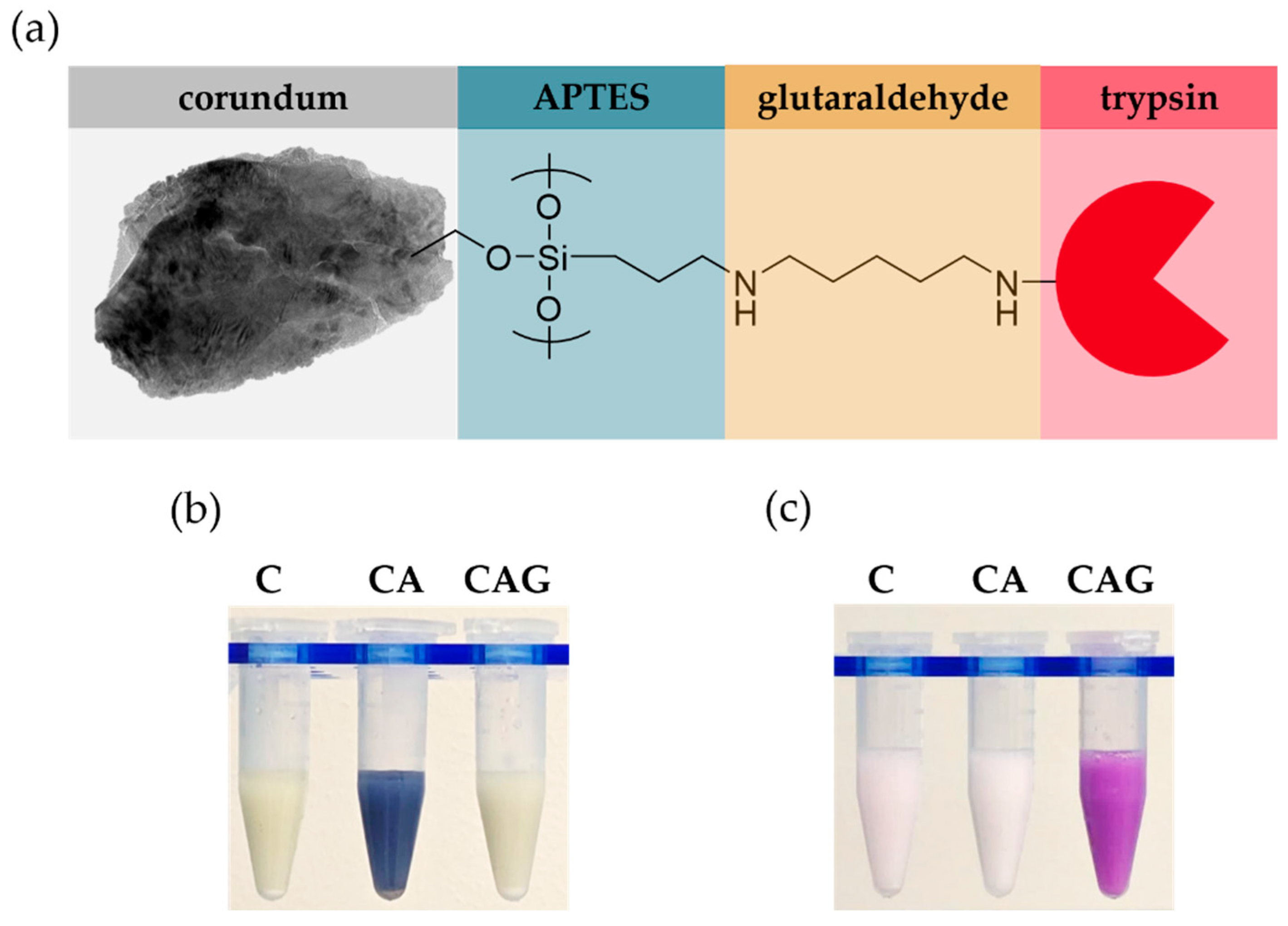 Preprints 182203 g002
