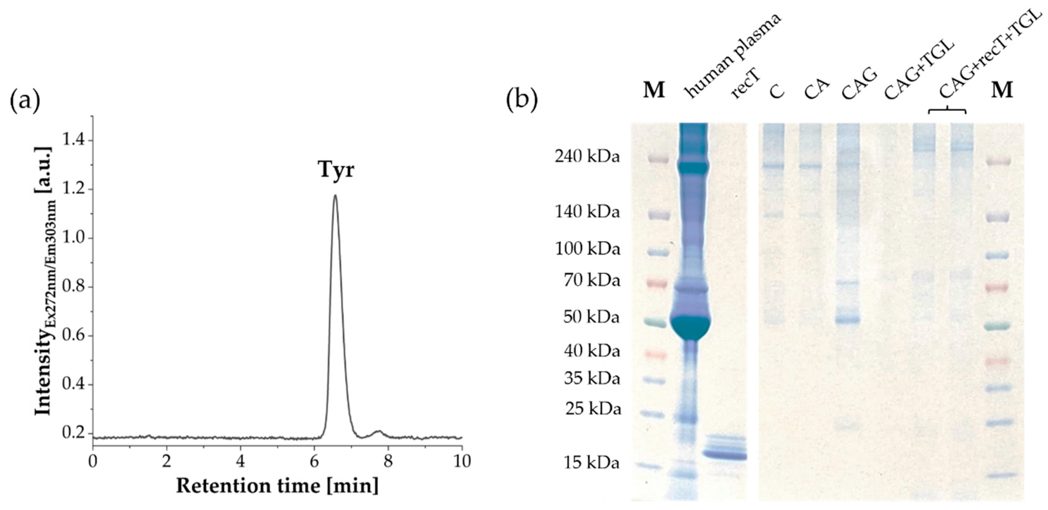 Preprints 182203 g003