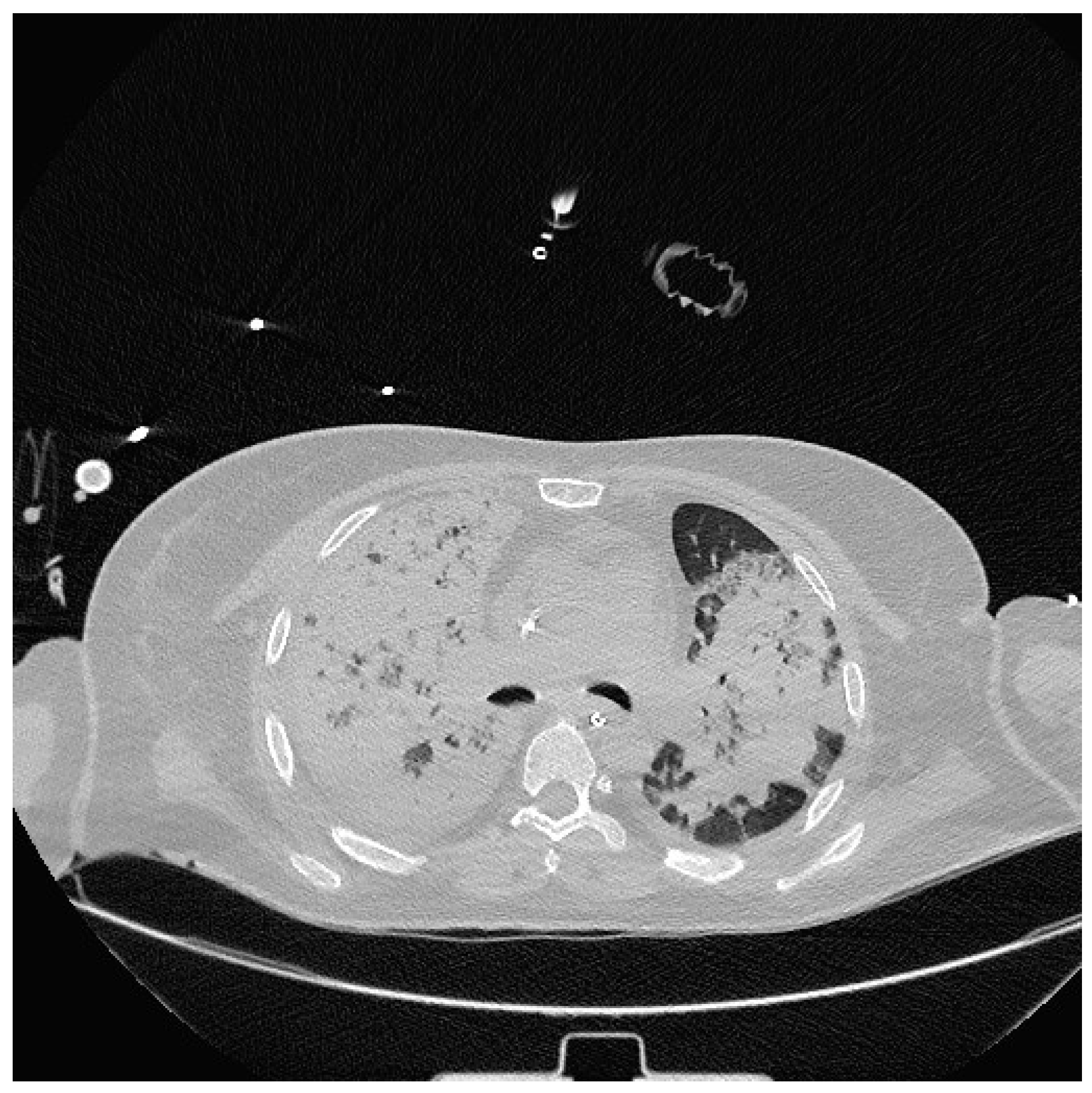 Preprints 92500 g002