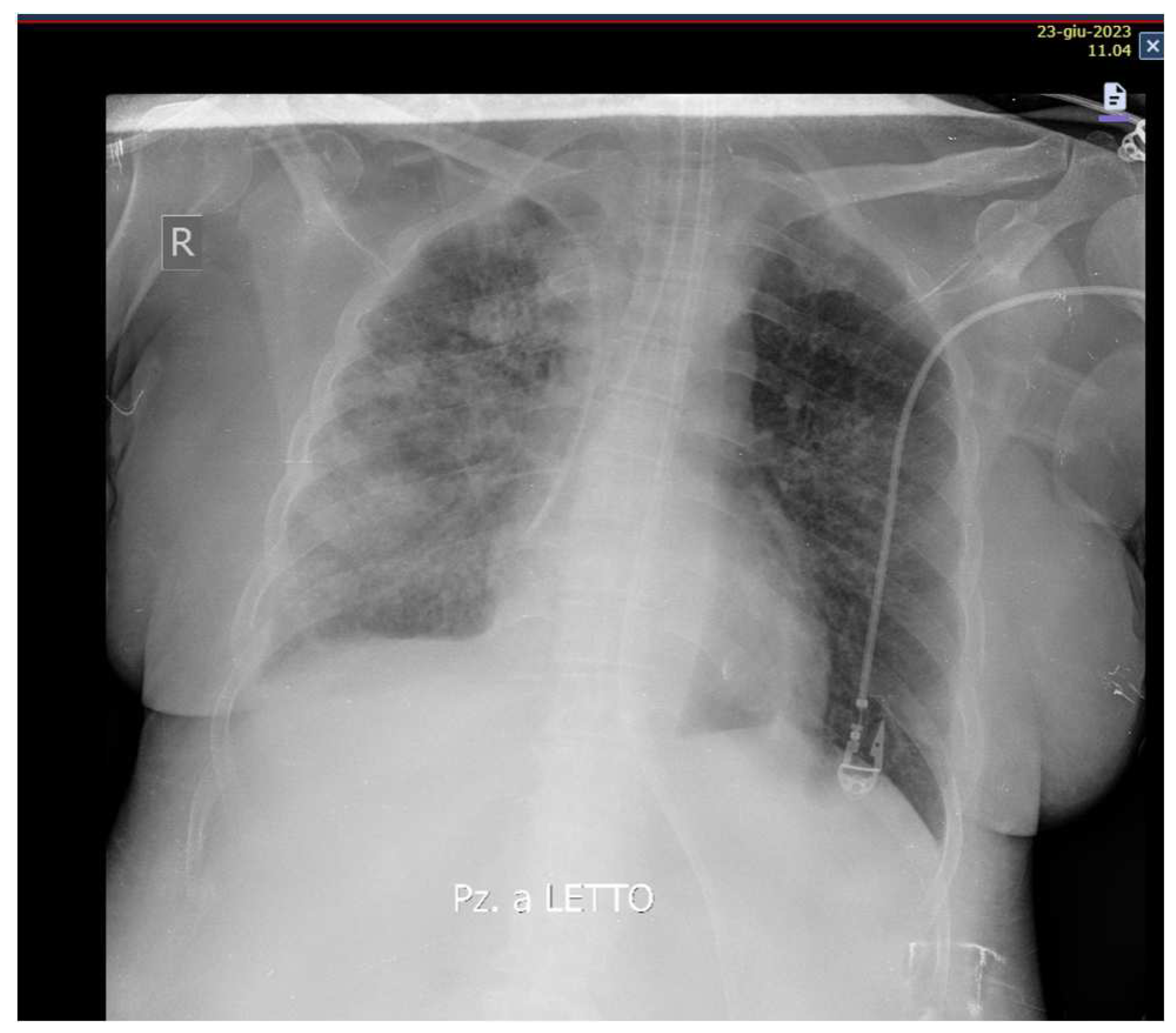 Preprints 92500 g003