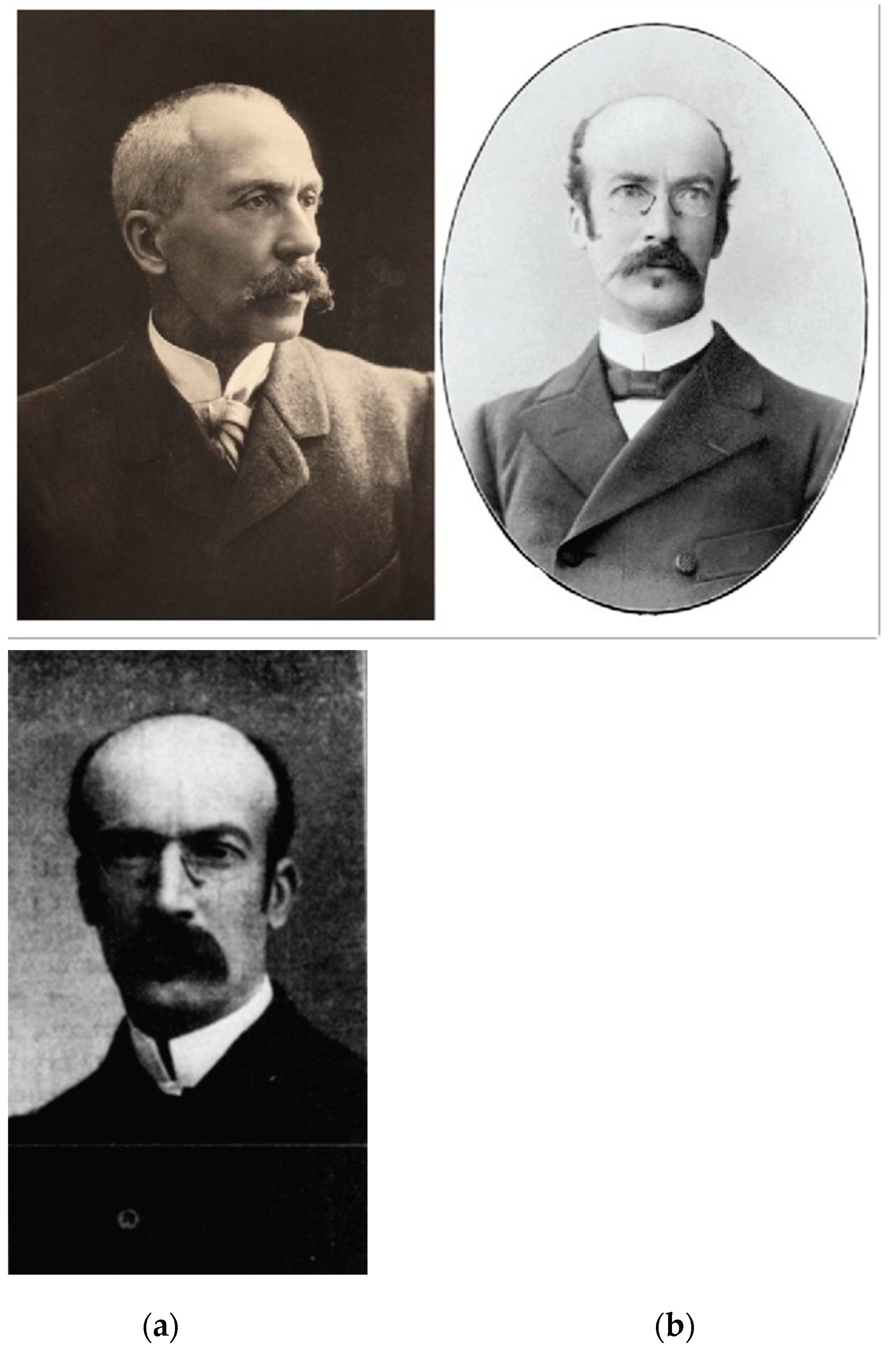 Preprints 210372 g001