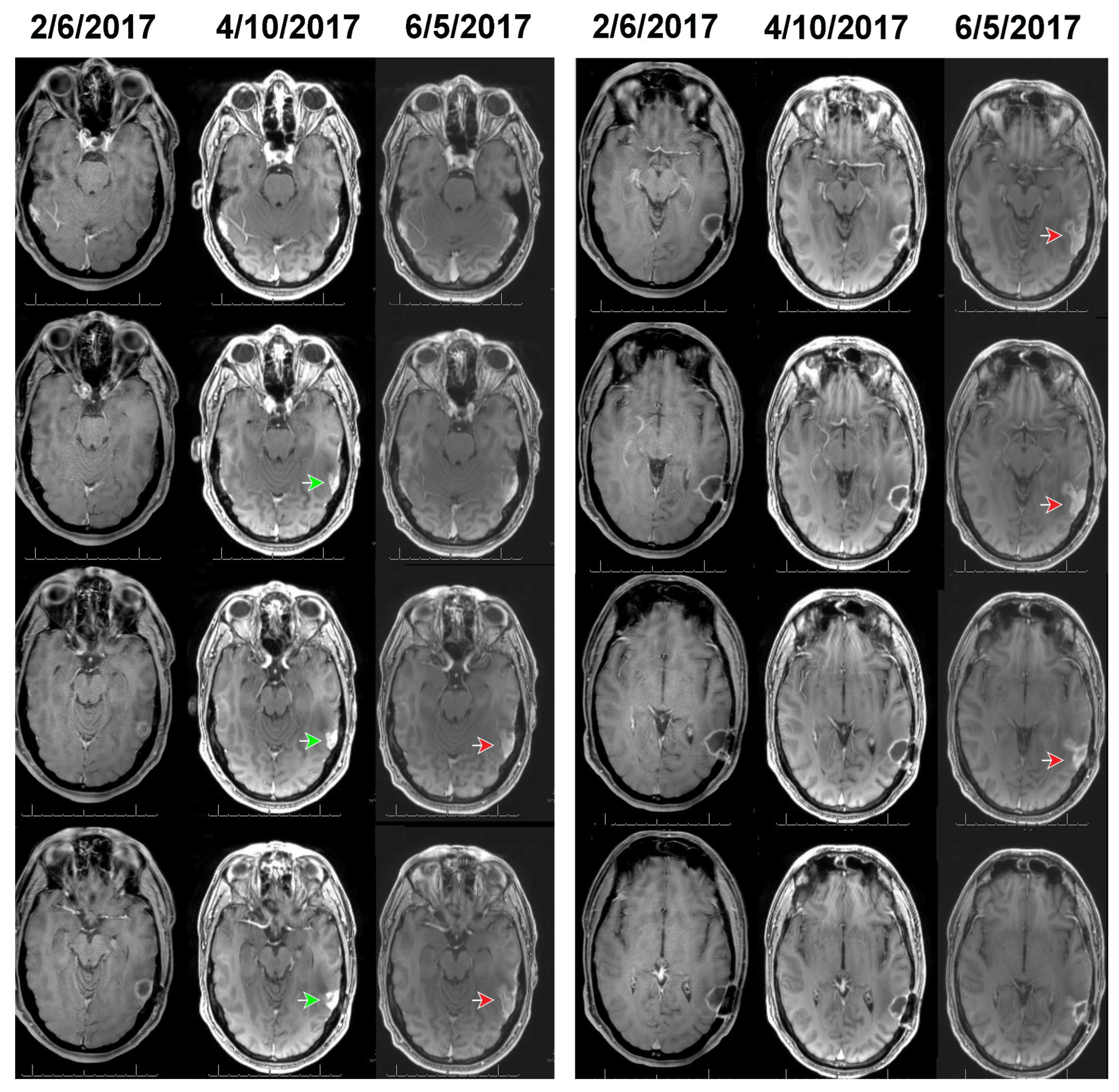 Preprints 145289 g002