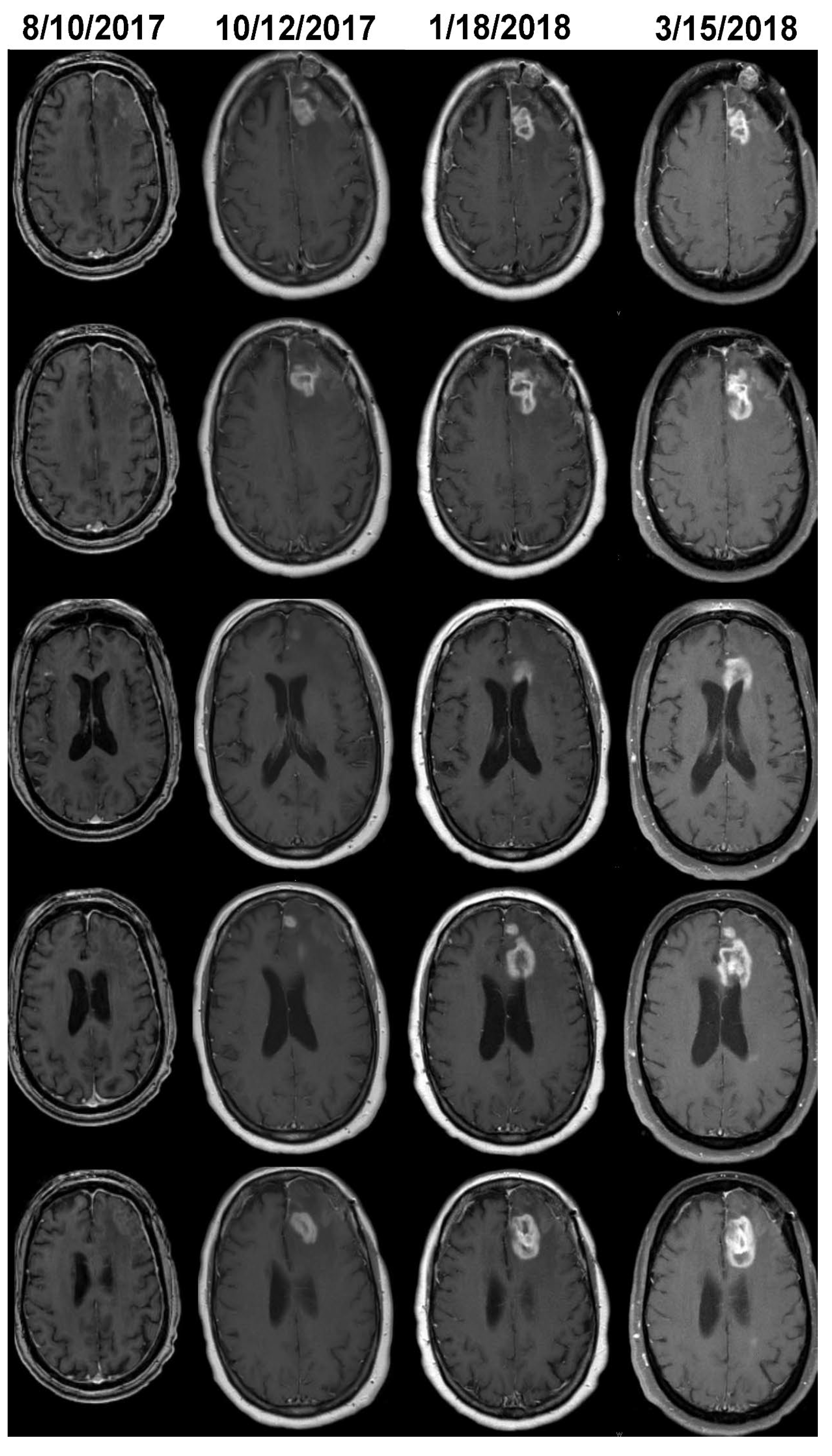 Preprints 145289 g003