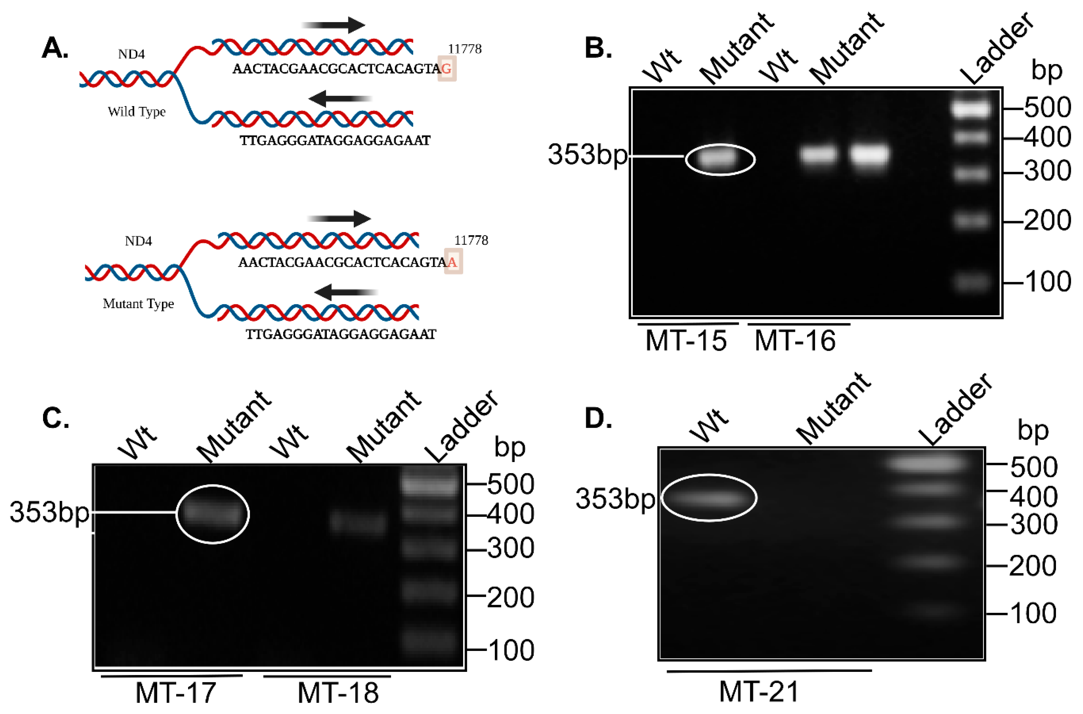 Preprints 170483 g006