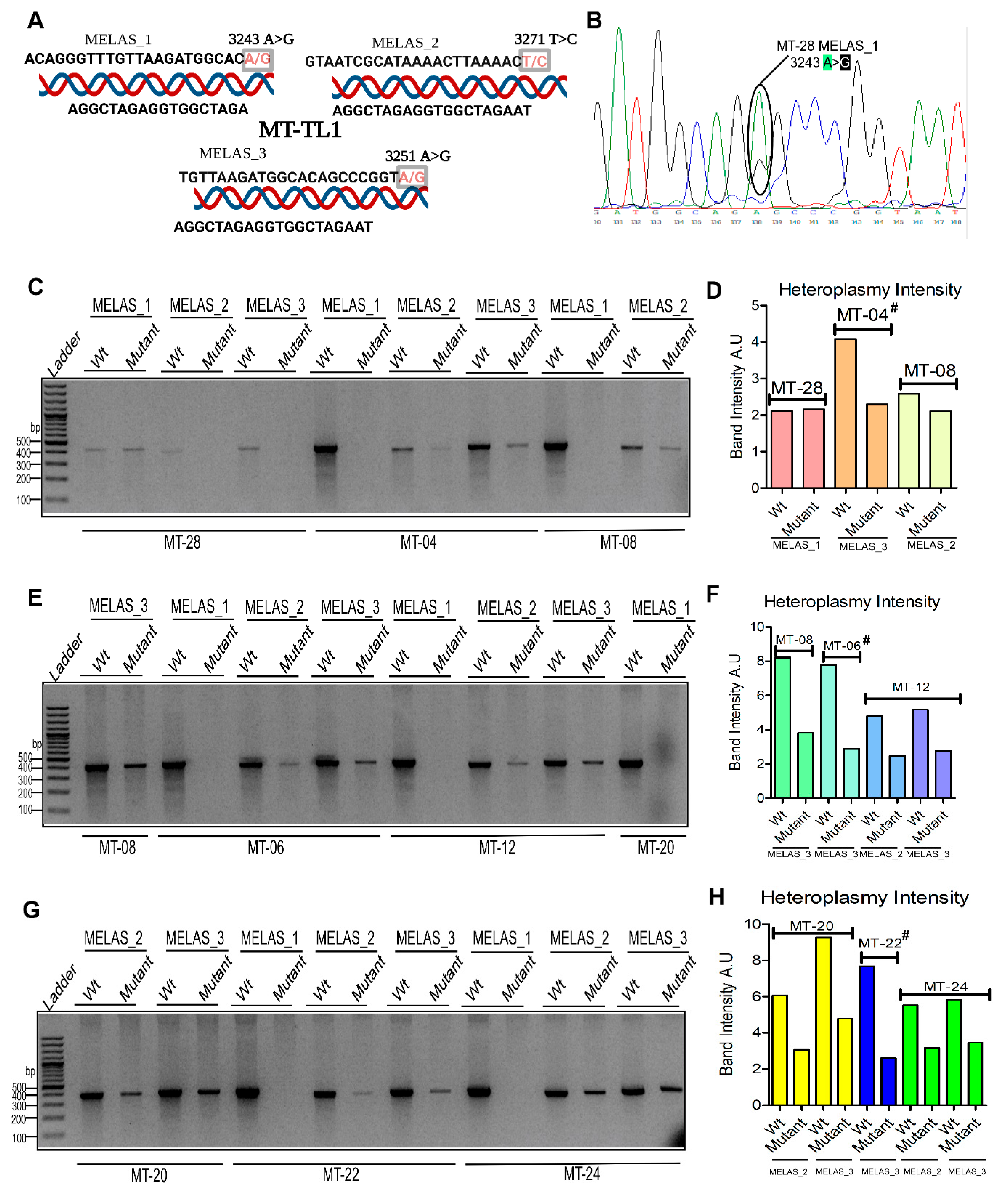 Preprints 170483 g007