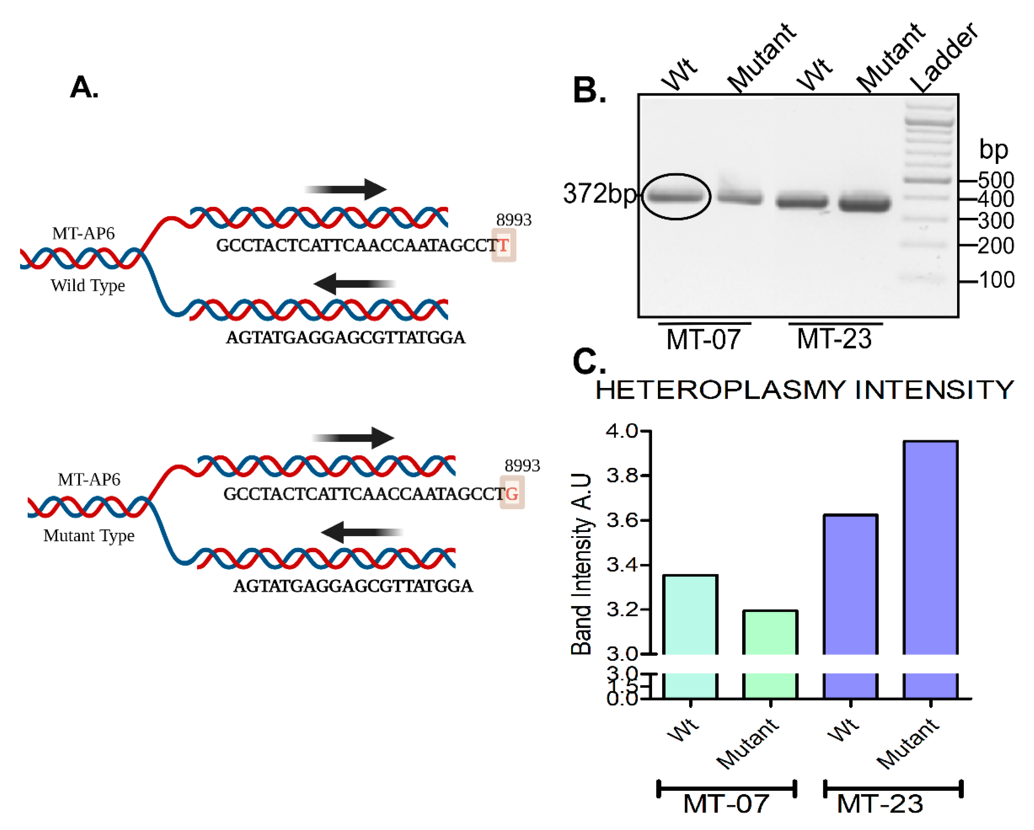 Preprints 170483 g008