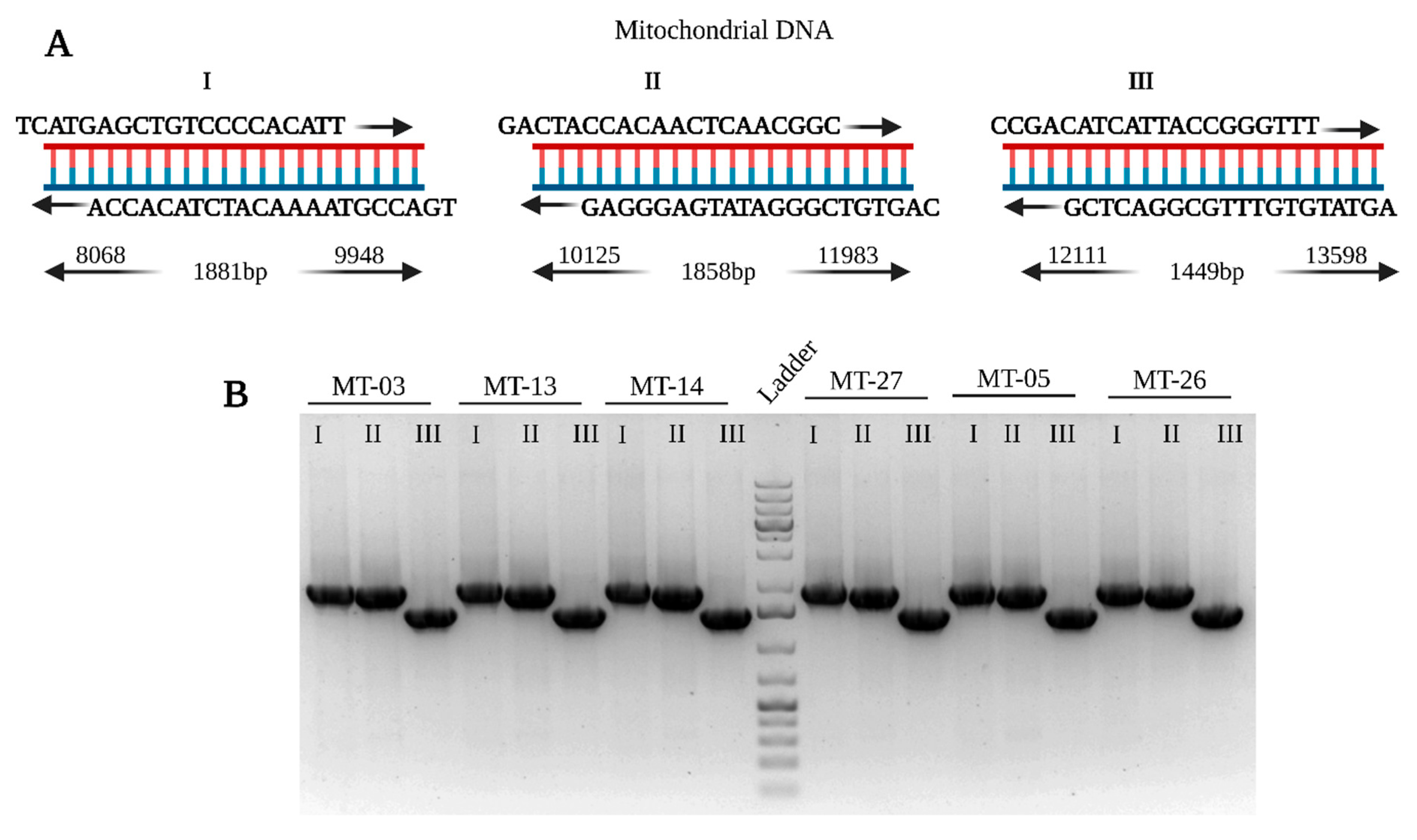 Preprints 170483 g009