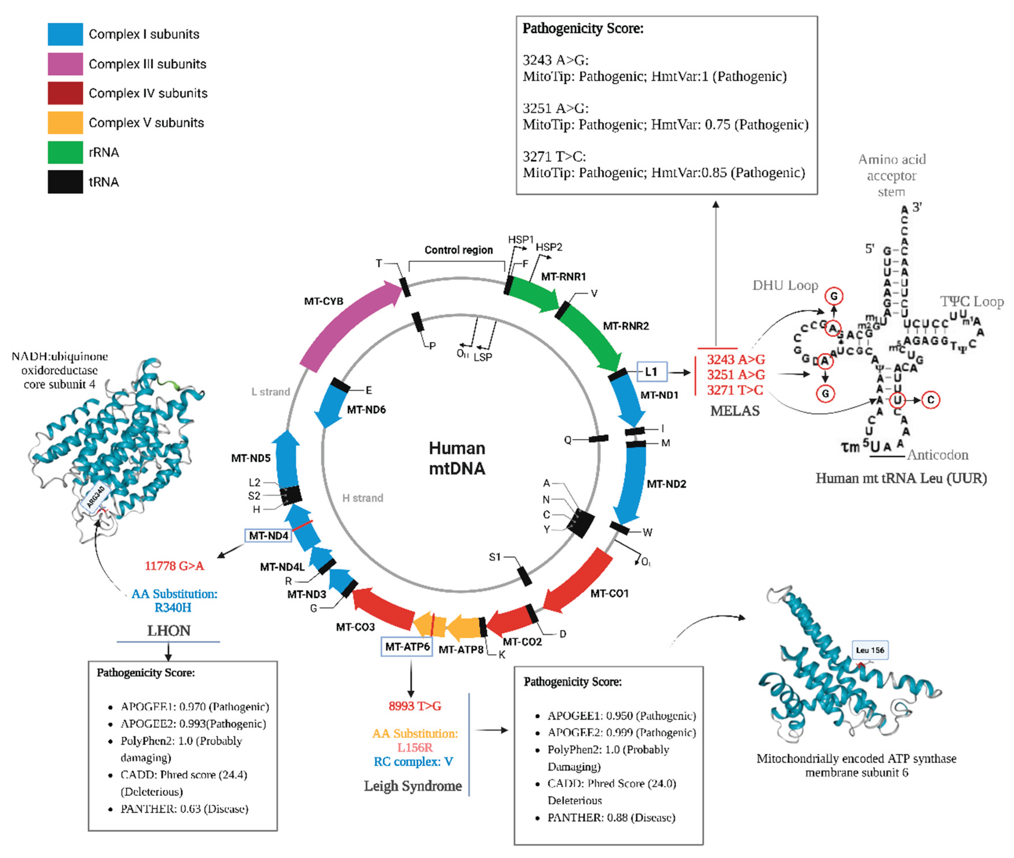 Preprints 170483 g010