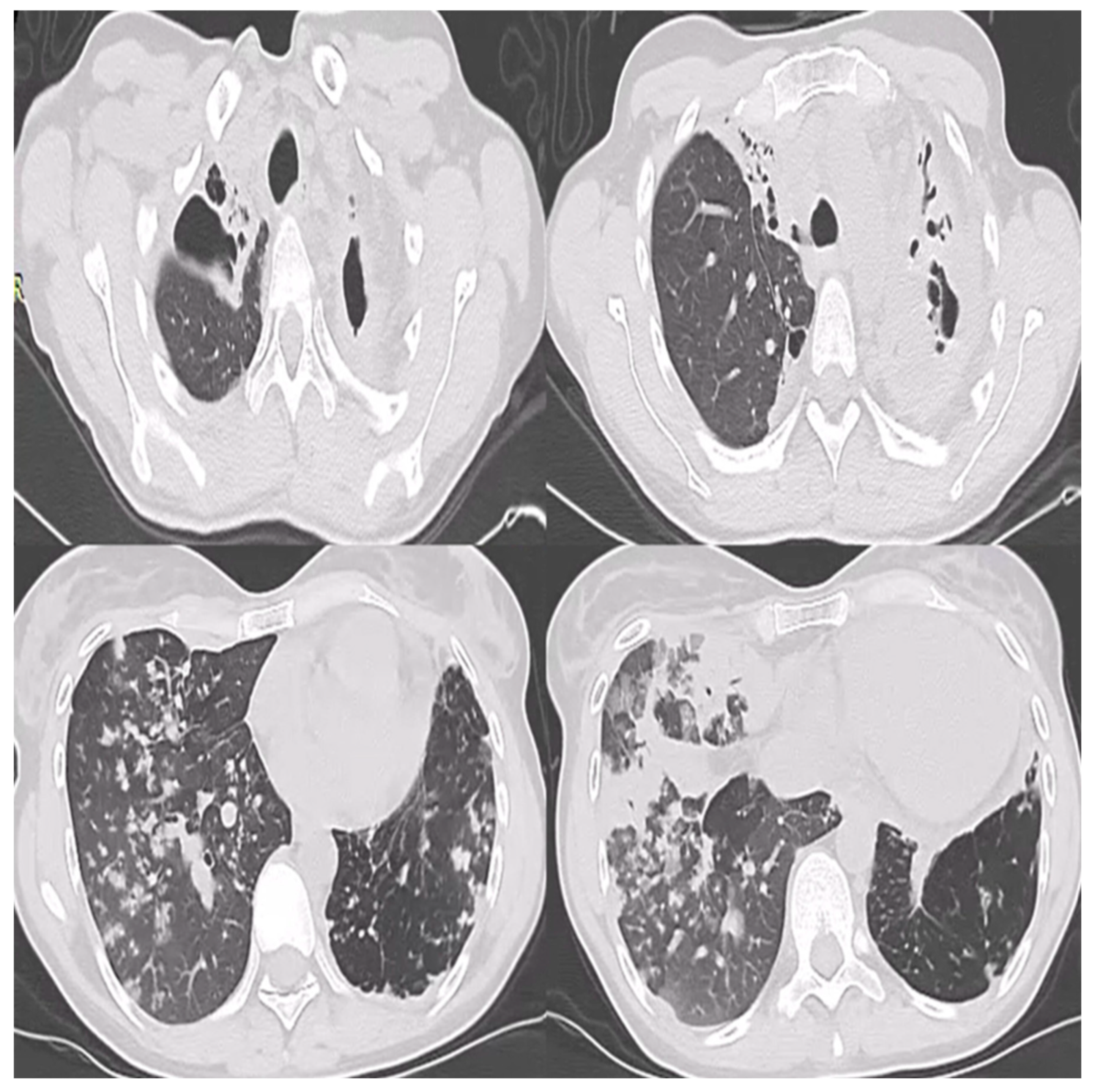 Preprints 112854 g001