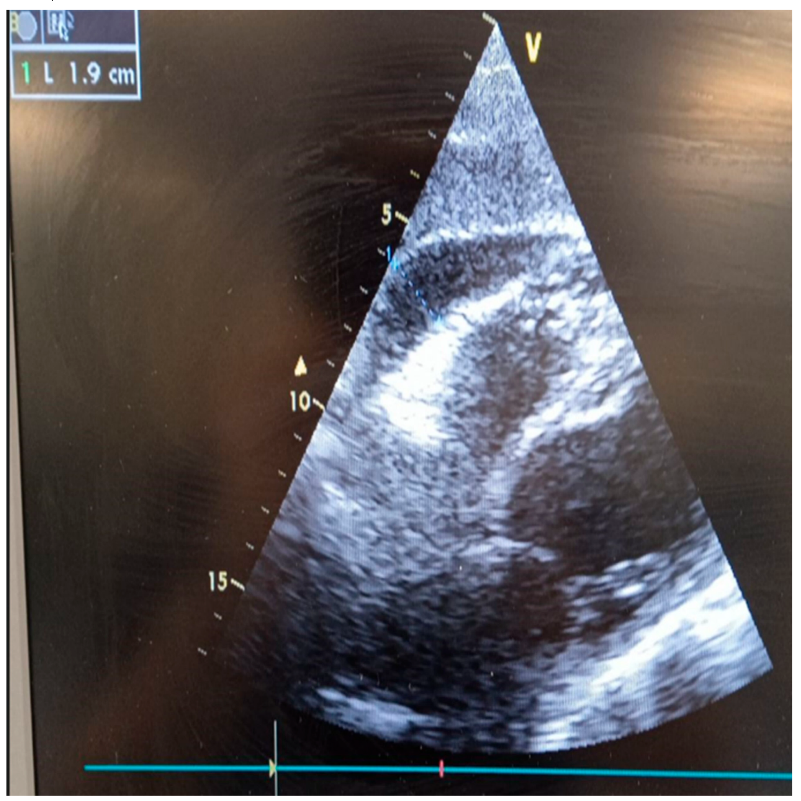 Preprints 112854 g002
