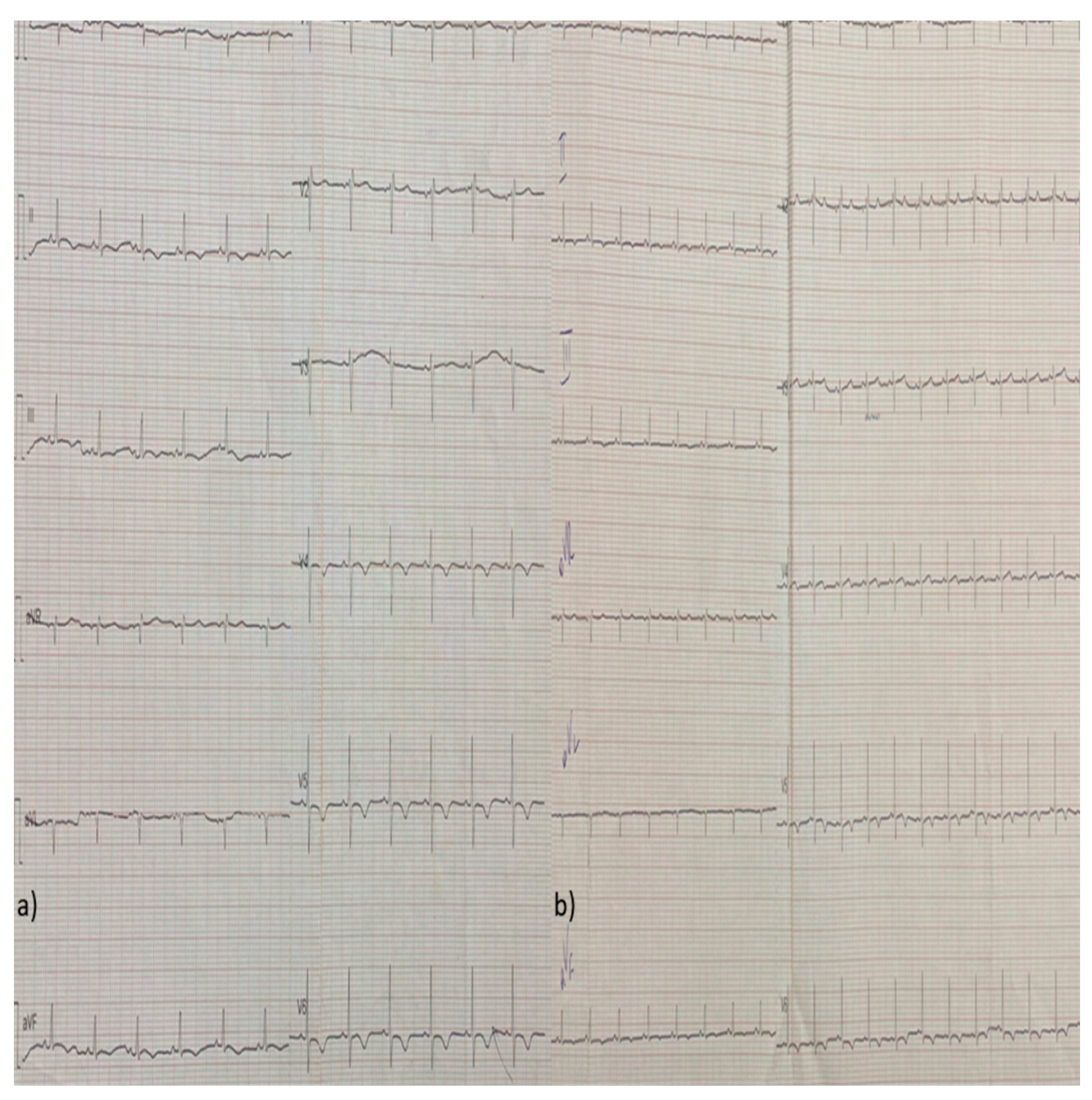 Preprints 112854 g006